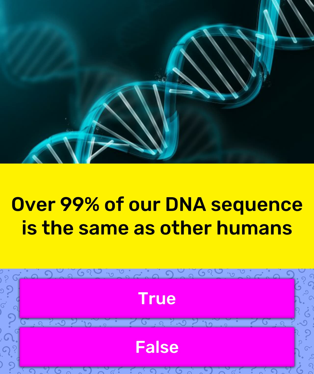 quizzclub