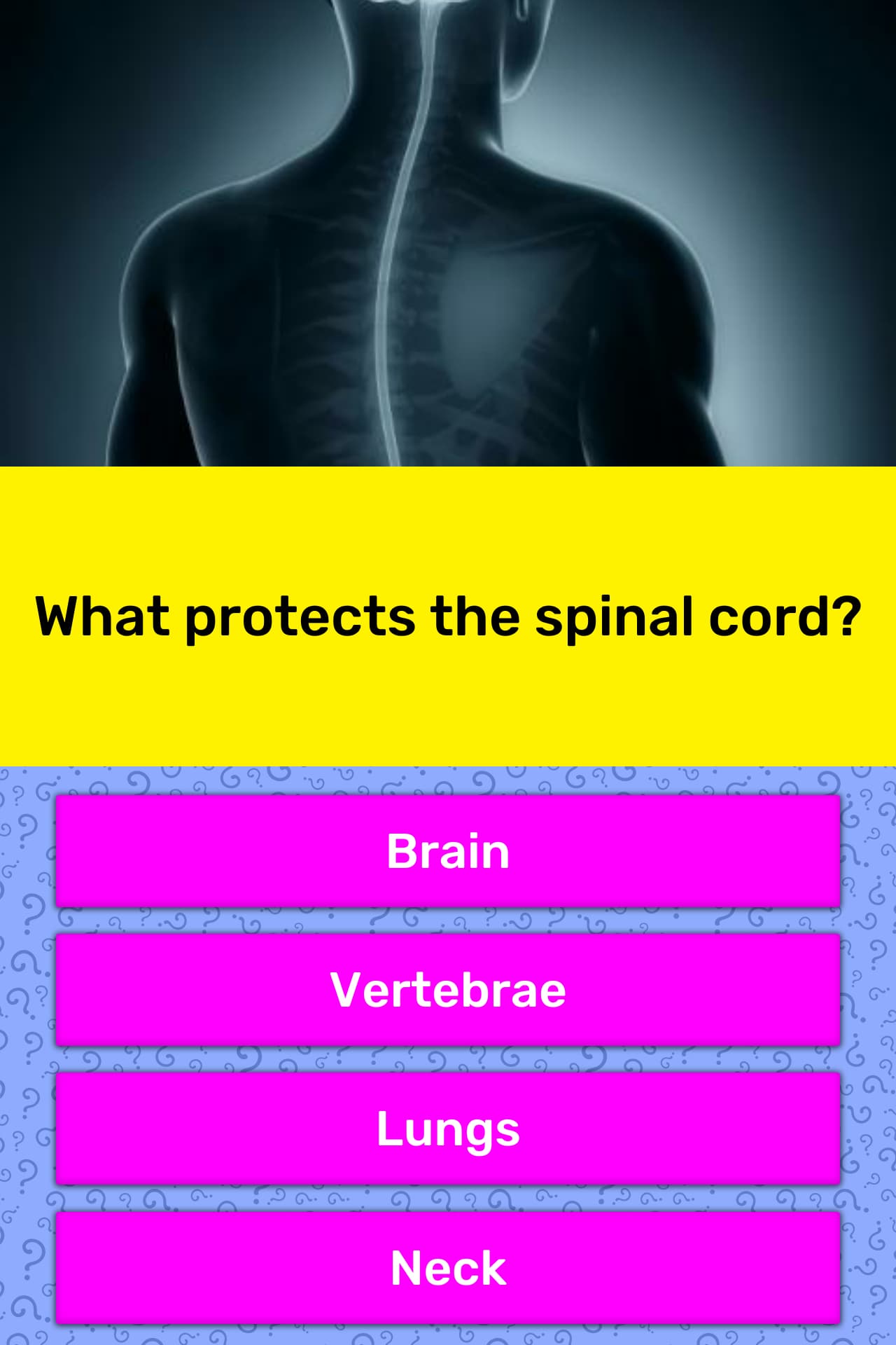 the-spinal-cord-is-protected-by-trivia-answers-quizzclub