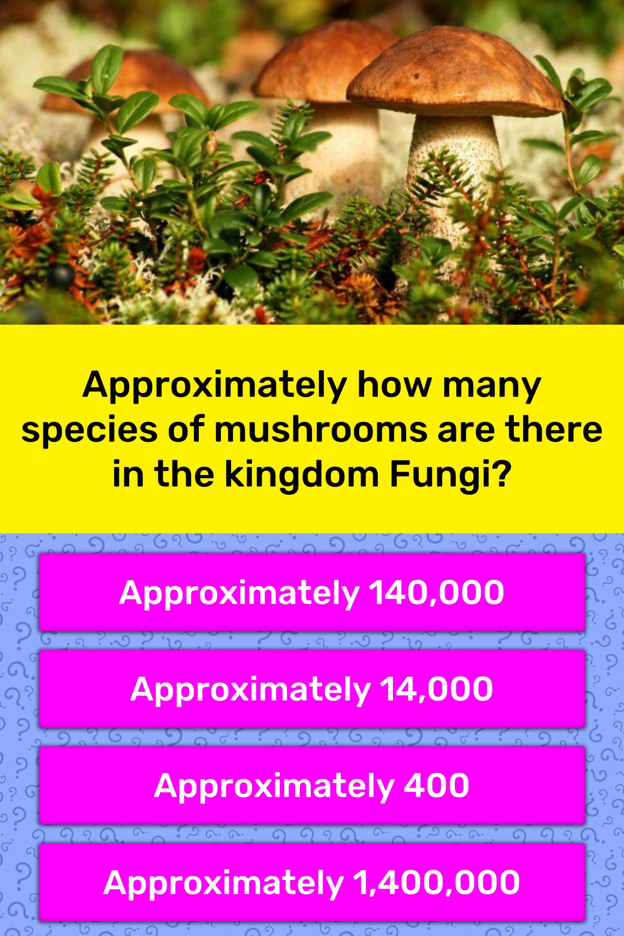 Approximately How Many Species Of Trivia Answers Quizzclub