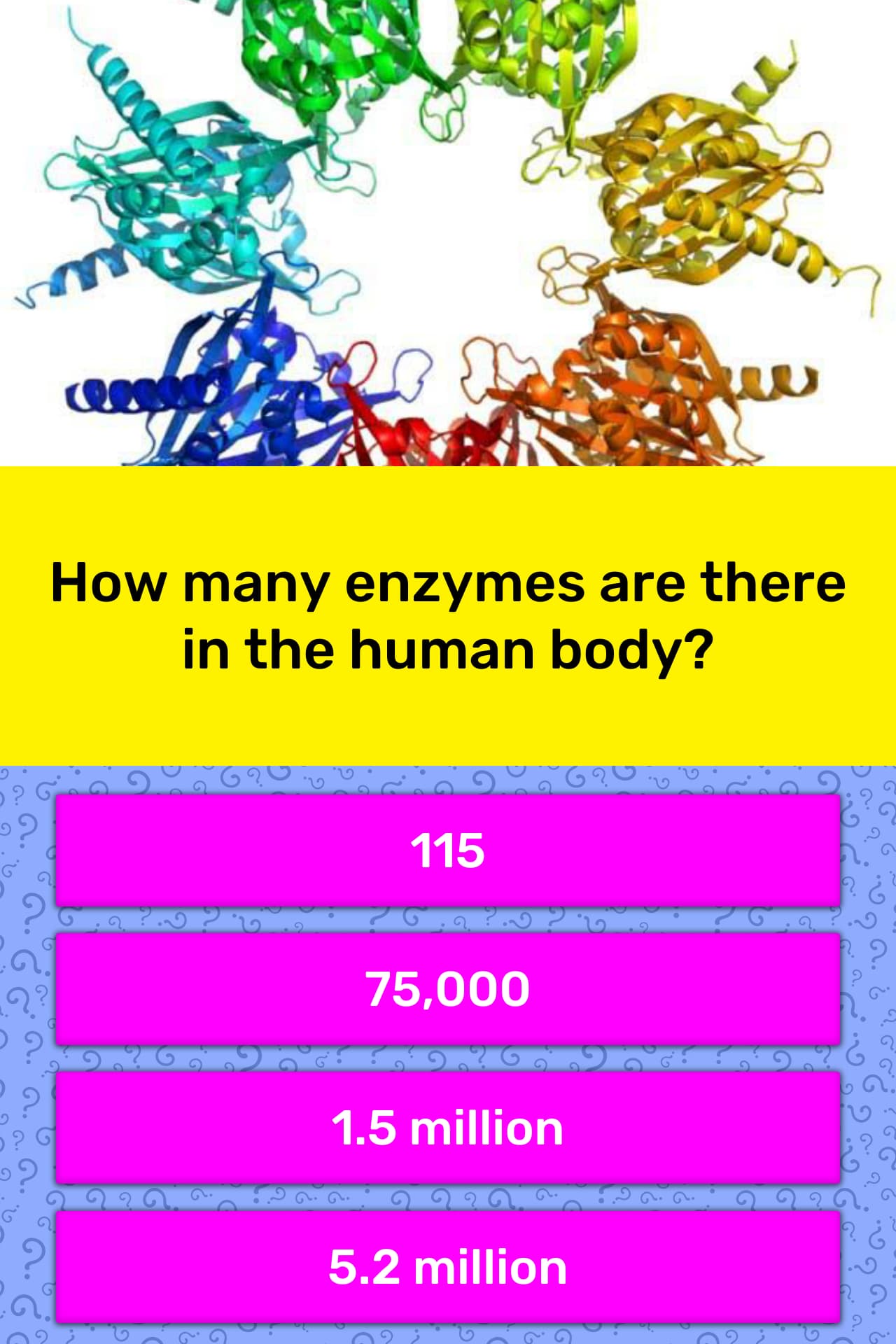 How many enzymes are there in the... Trivia Answers