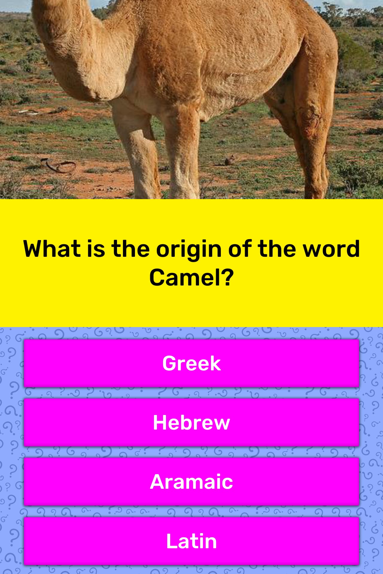 What Is The Origin Of The Word Camel Trivia Answers Quizzclub