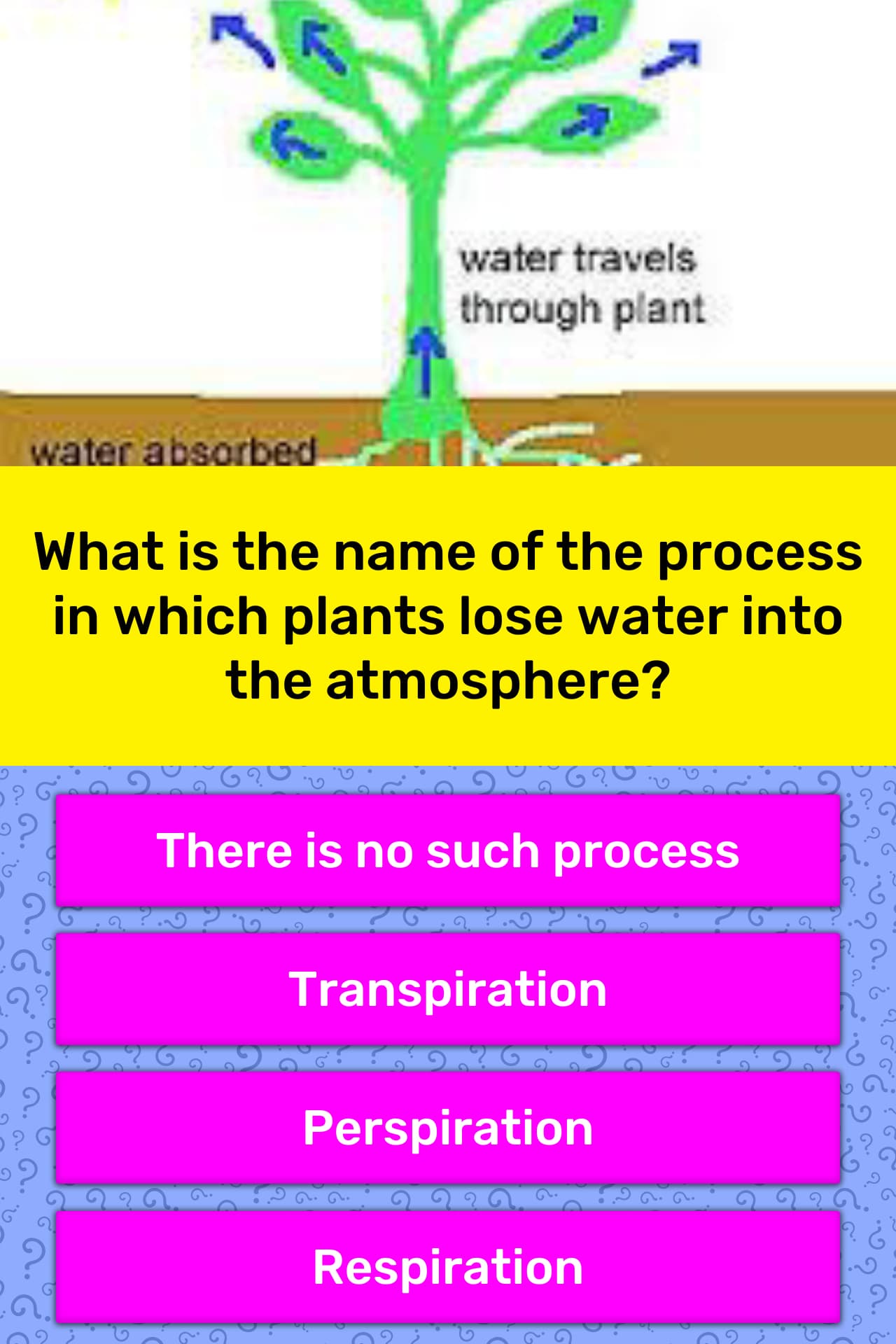 What Is The Name Of The Process In Trivia Answers QuizzClub what-is-the-name-of-the-process-in-trivia-answers-quizzclub