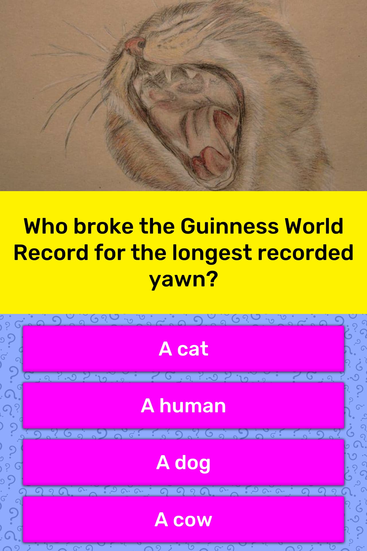 Who Broke The Guinness World Record Trivia Answers QuizzClub