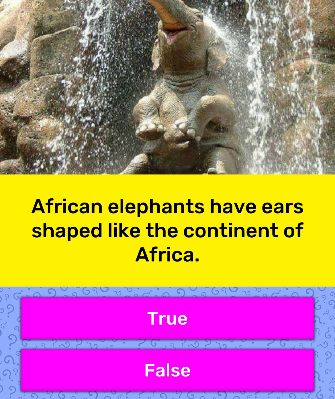 African elephants have ears shaped... | Trivia Questions | QuizzClub