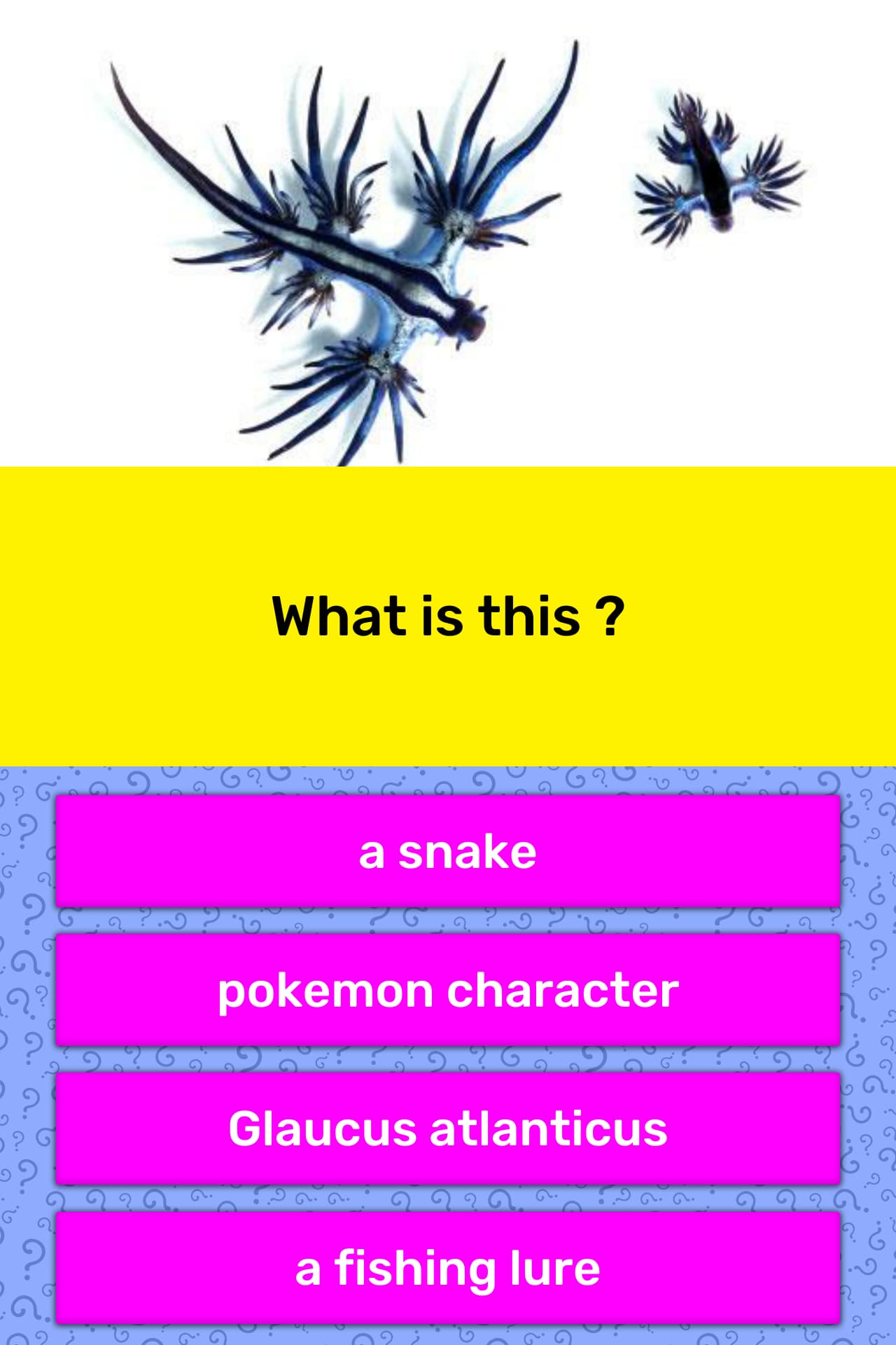 What Is This Trivia Answers Quizzclub