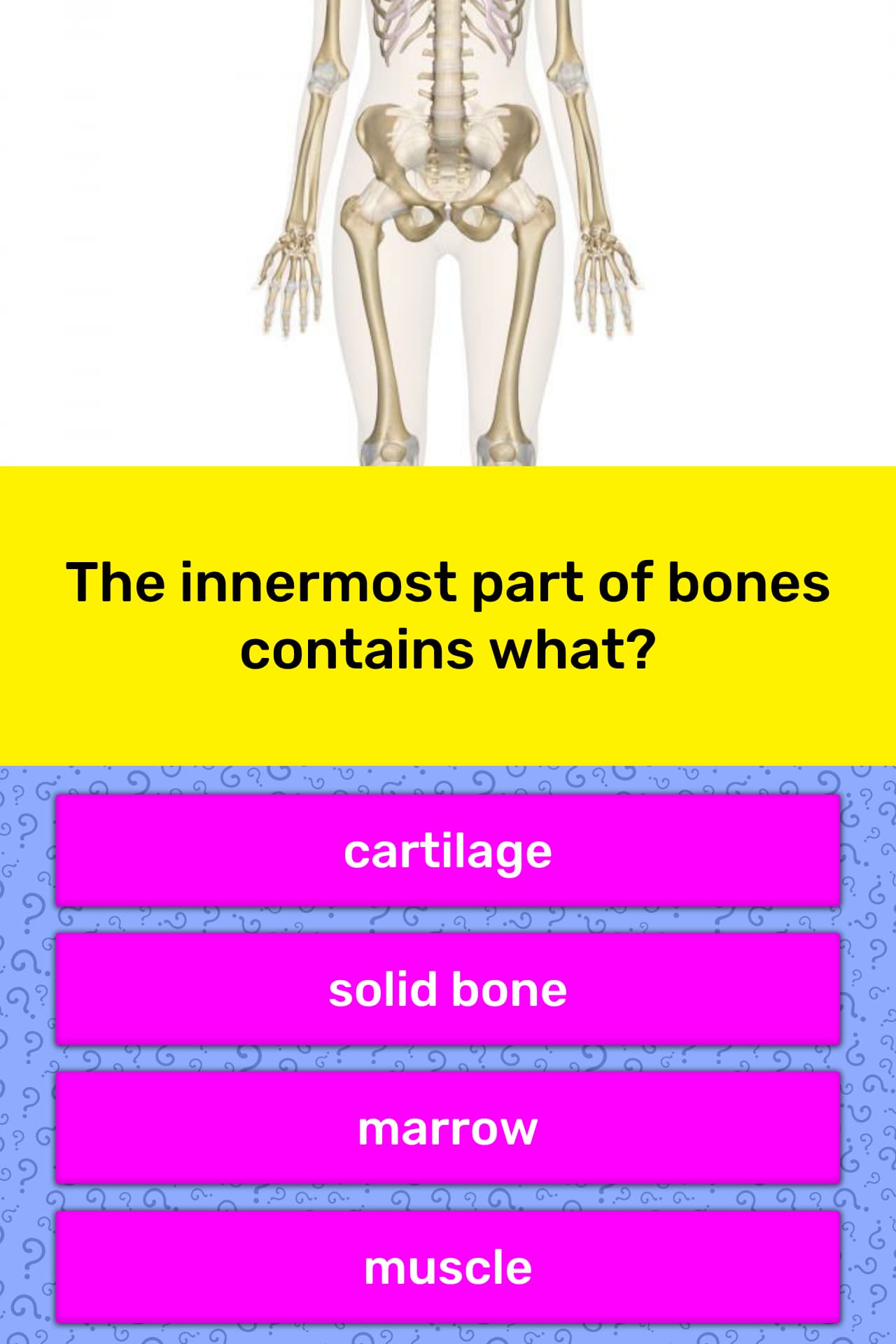 the-innermost-part-of-bones-contains-trivia-answers-quizzclub