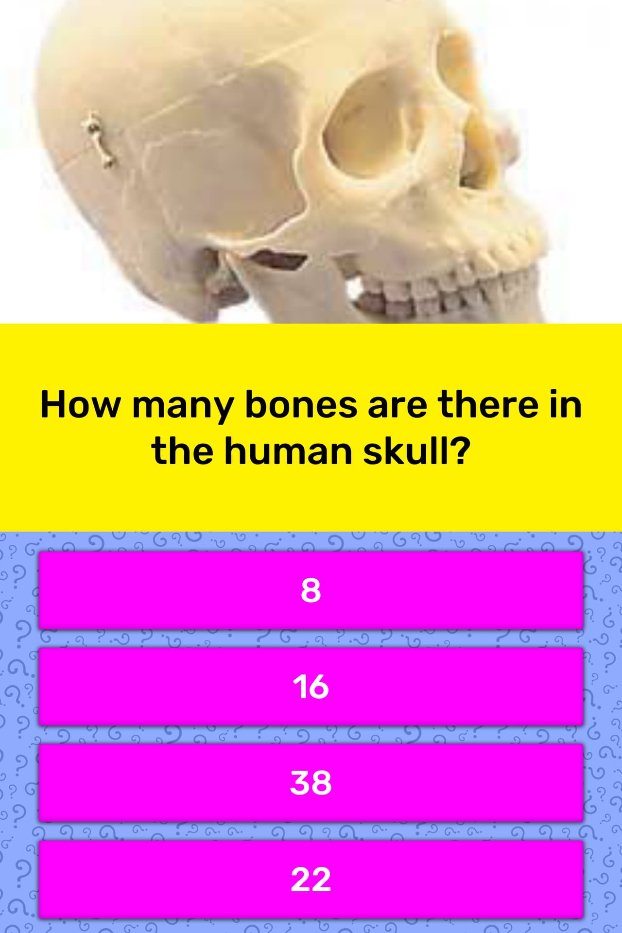 how-many-bones-are-there-in-the-trivia-answers-quizzclub