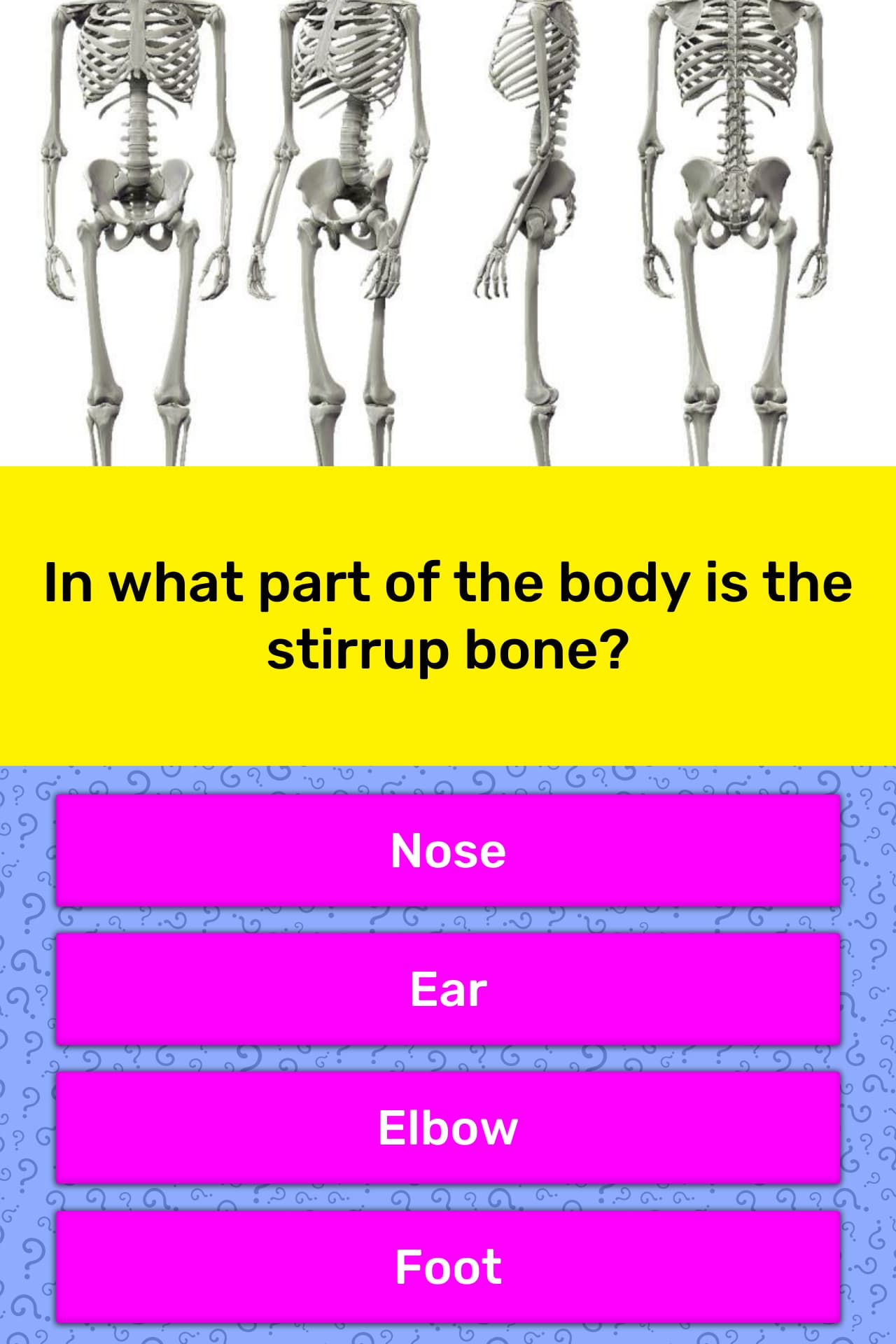 In what part of the body is the... Trivia Answers