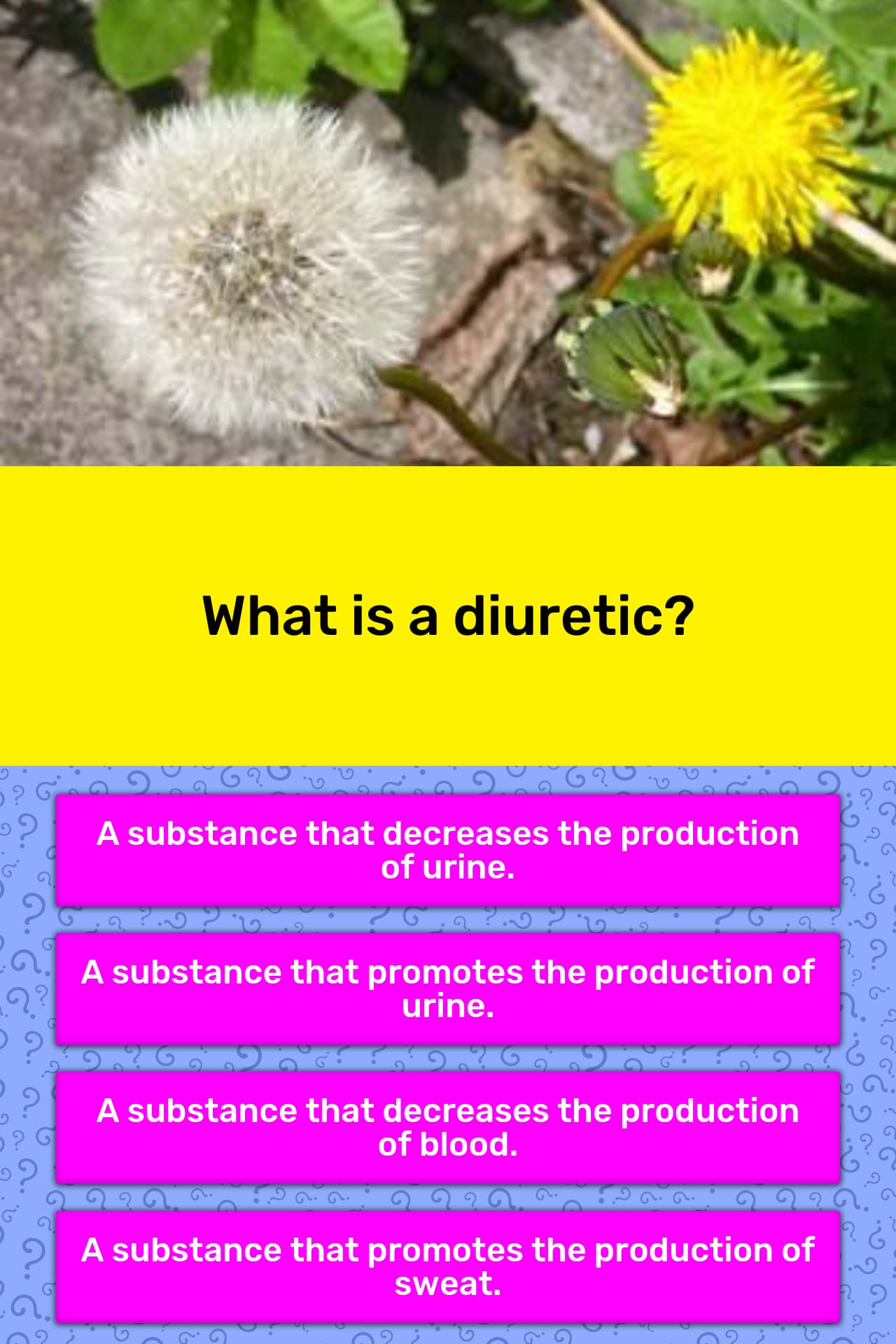 what-is-a-diuretic-trivia-questions-quizzclub