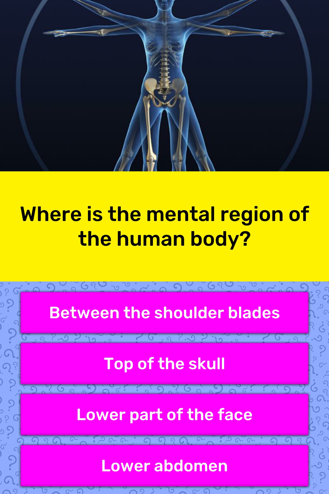 Where is the mental region of the... | Trivia Questions | QuizzClub