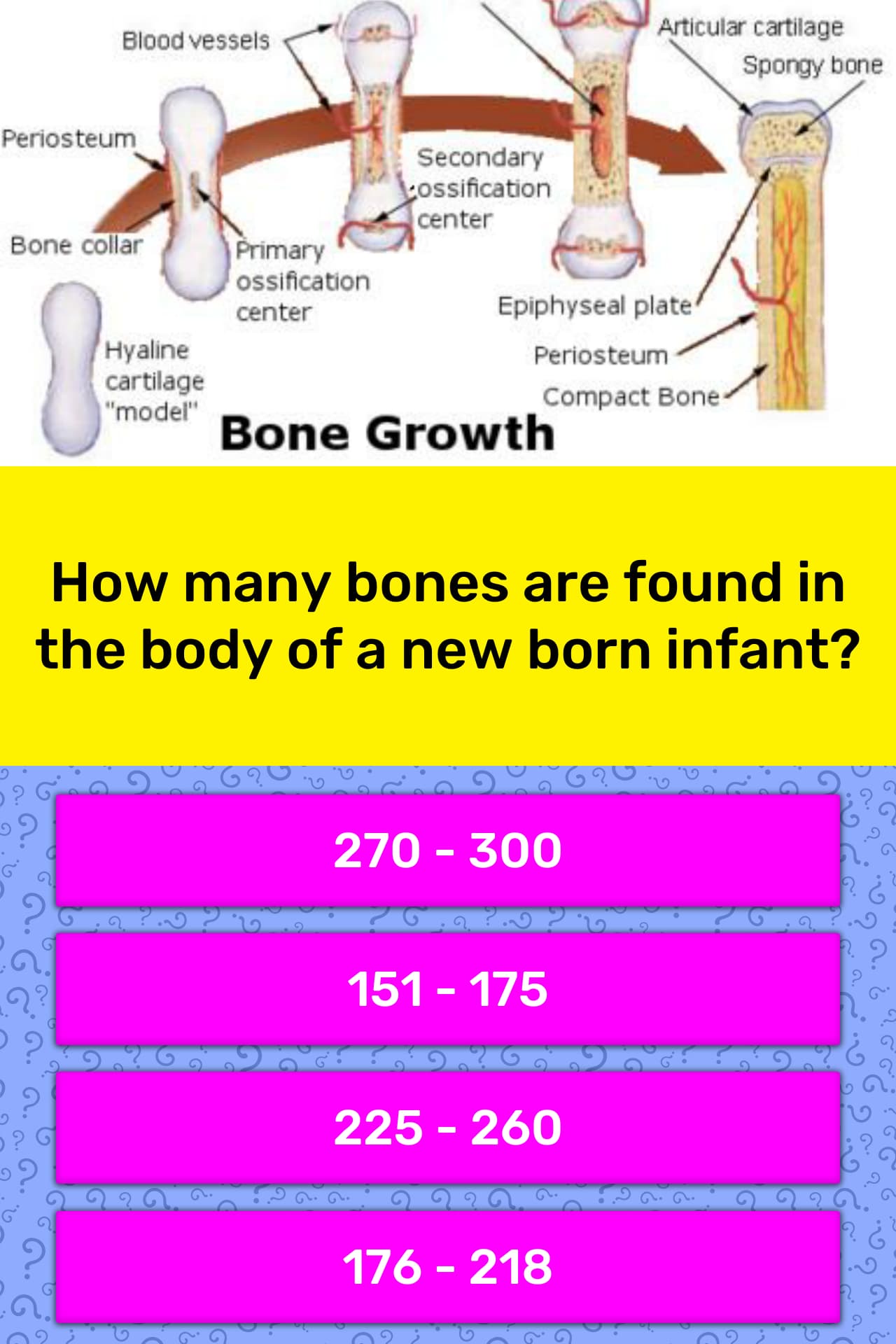 How many Bones are there in the Human body. How many Bones have Baby.