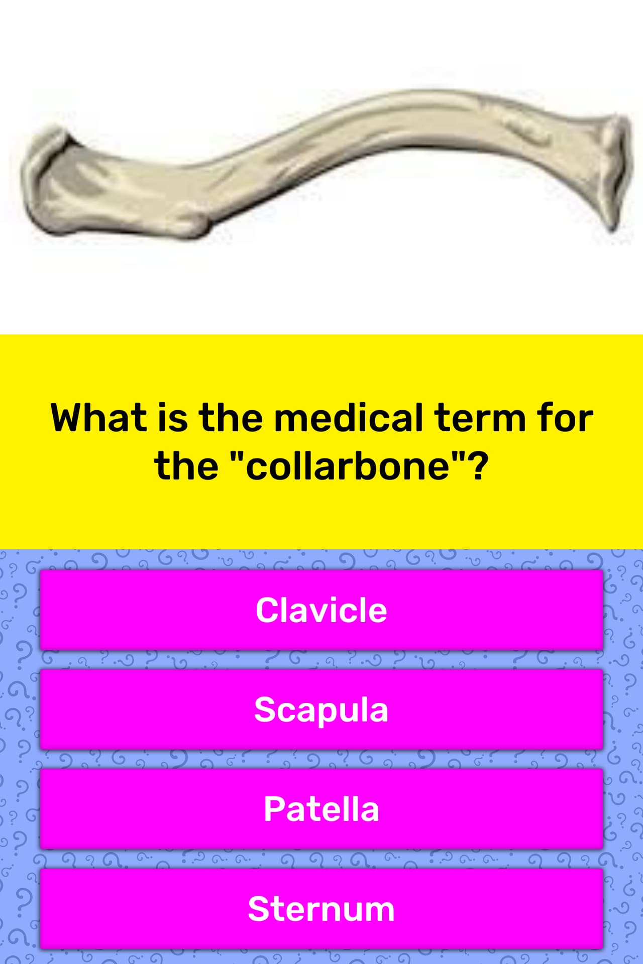 panau in medical term