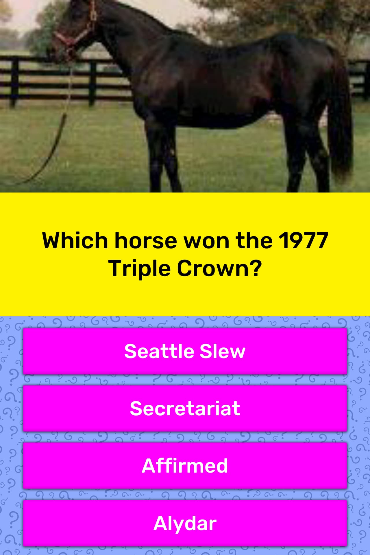 Which horse won the 1977 Triple Crown? Trivia Questions