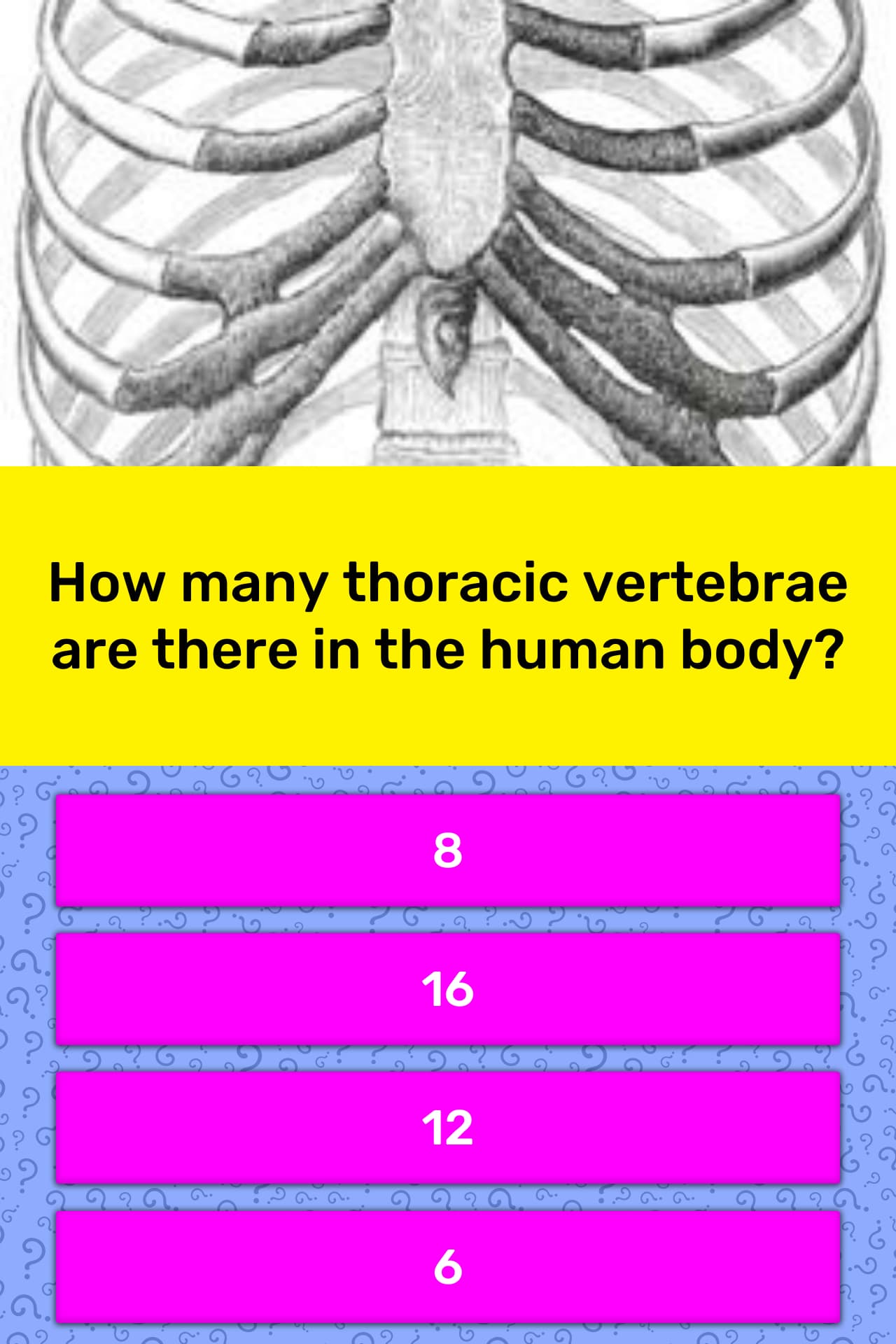How Many Thoracic Vertebrae Are Trivia Answers QuizzClub