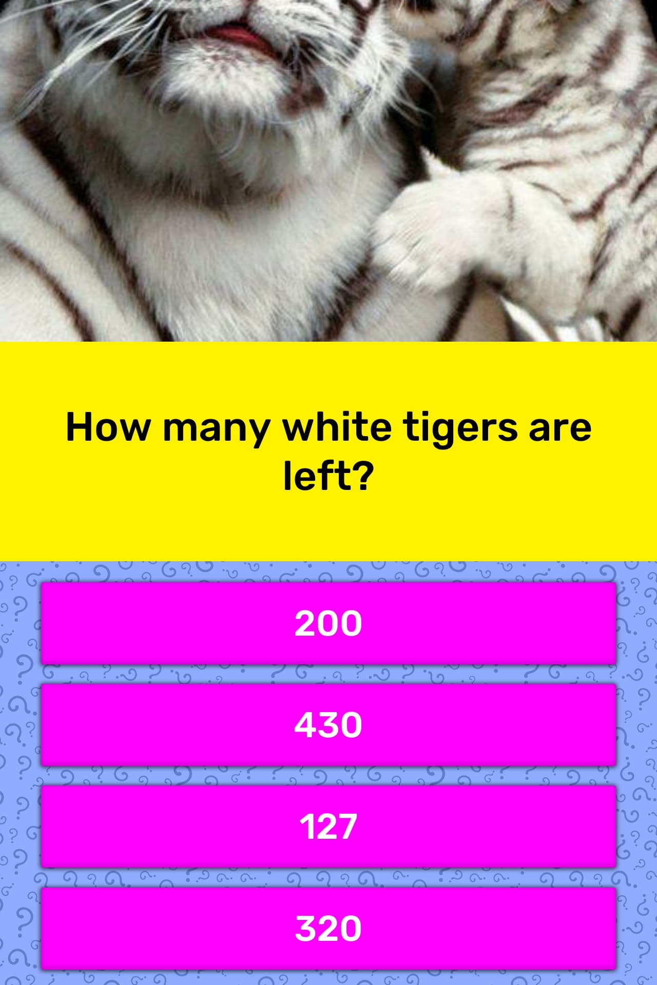 How many white tigers are left? | Trivia Answers | QuizzClub