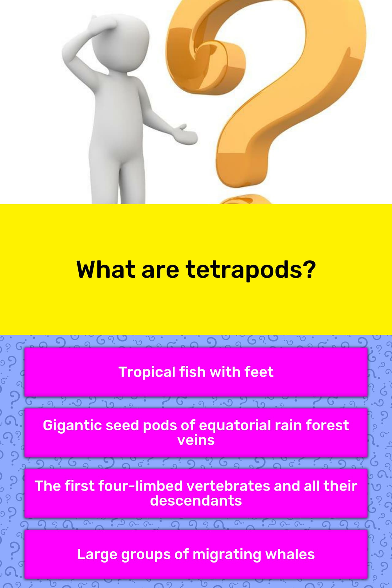 What are tetrapods? | Trivia Answers | QuizzClub