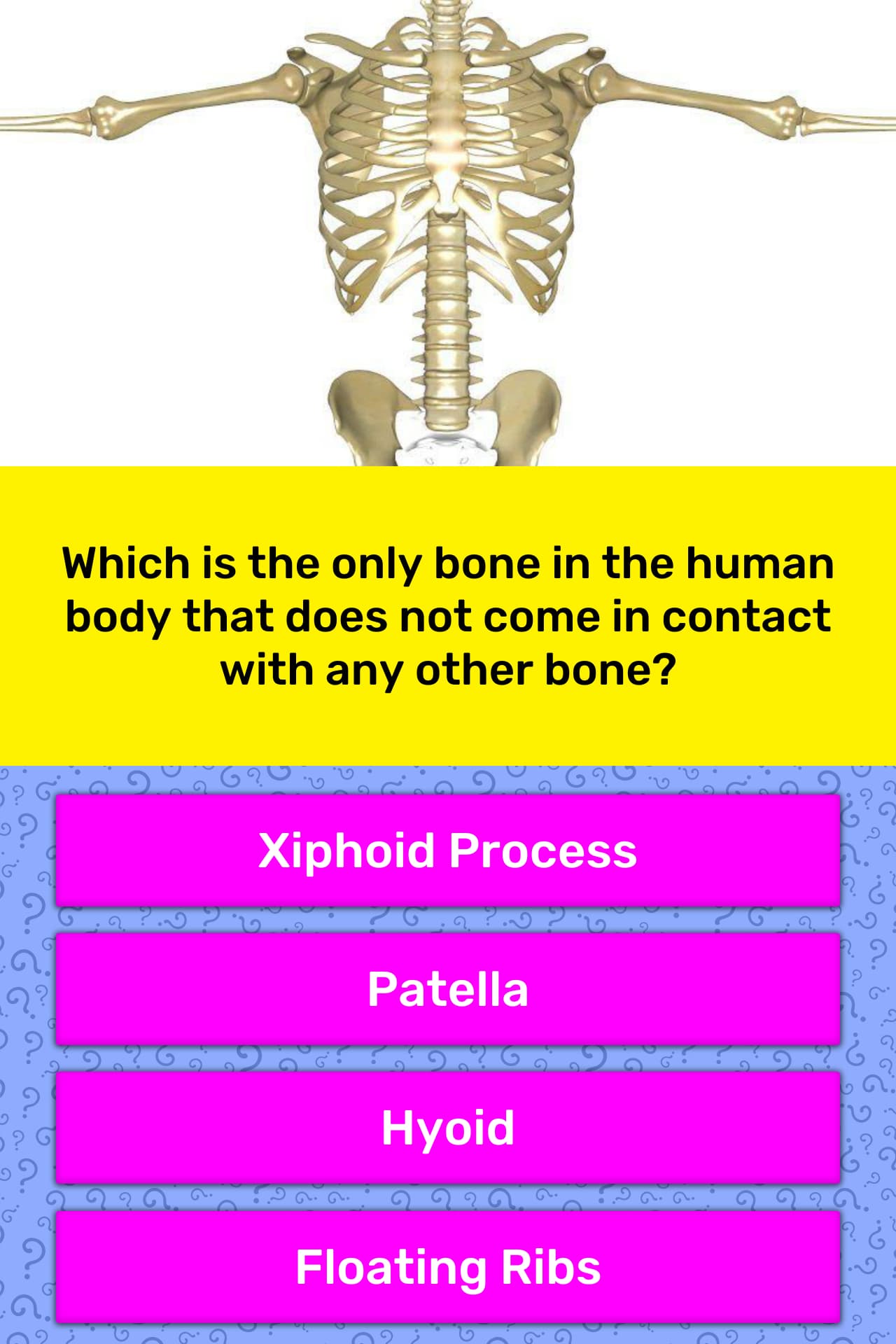 Which is the only bone in the human... | Trivia Answers | QuizzClub