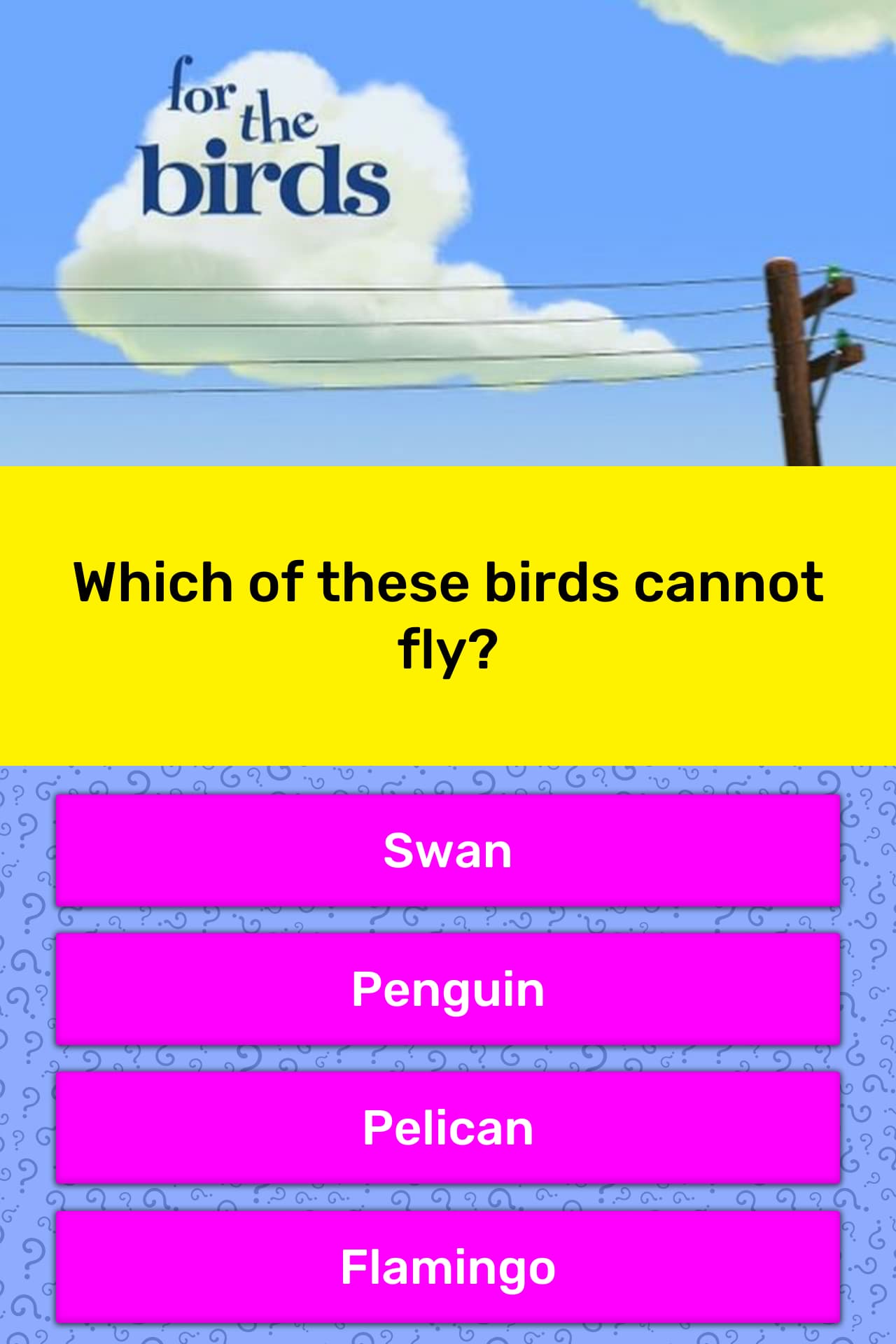 Which of these birds cannot fly? | Trivia Answers | QuizzClub