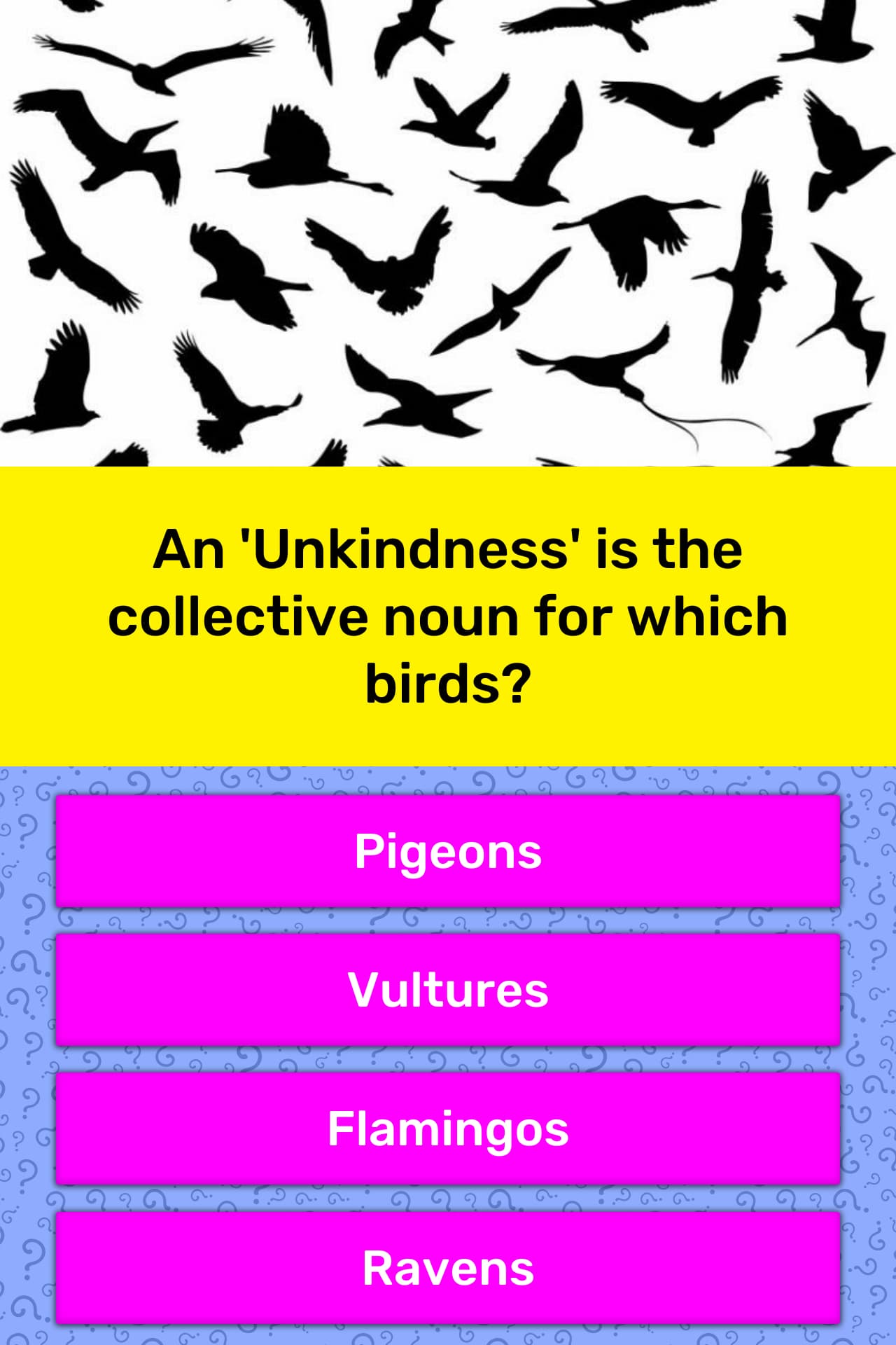 an-unkindness-is-the-collective-trivia-questions-quizzclub