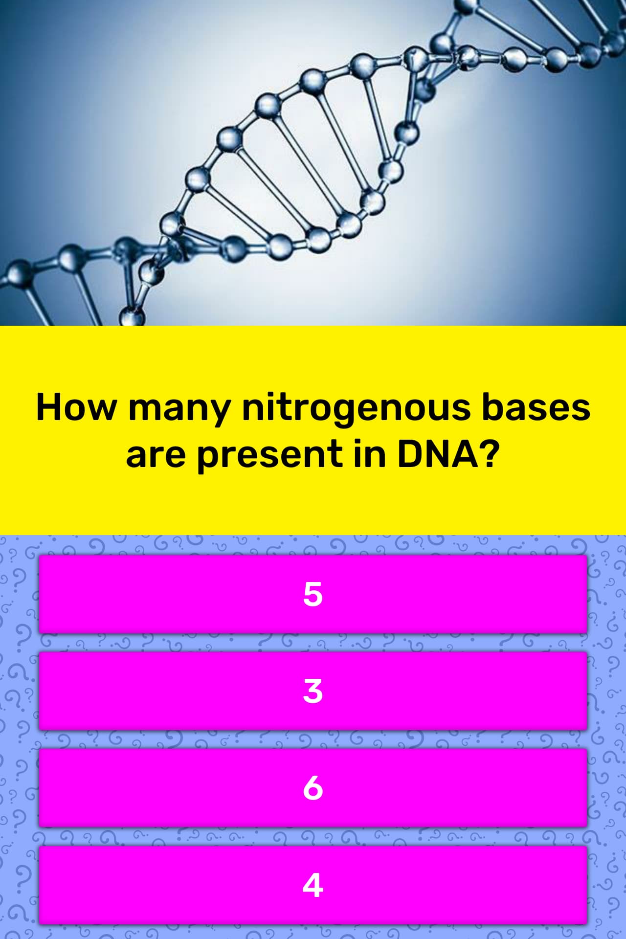 how-many-nitrogenous-bases-are-trivia-questions-quizzclub