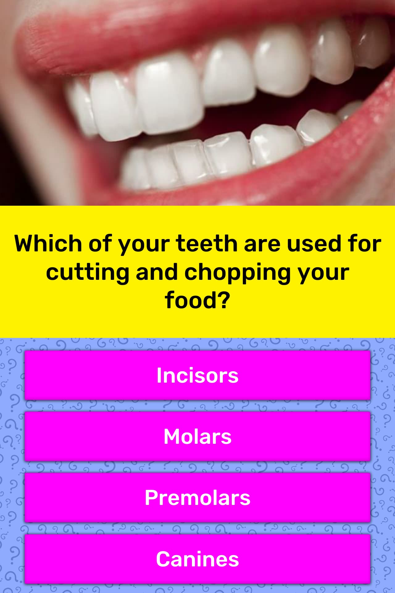 which-of-your-teeth-are-used-for-trivia-answers-quizzclub