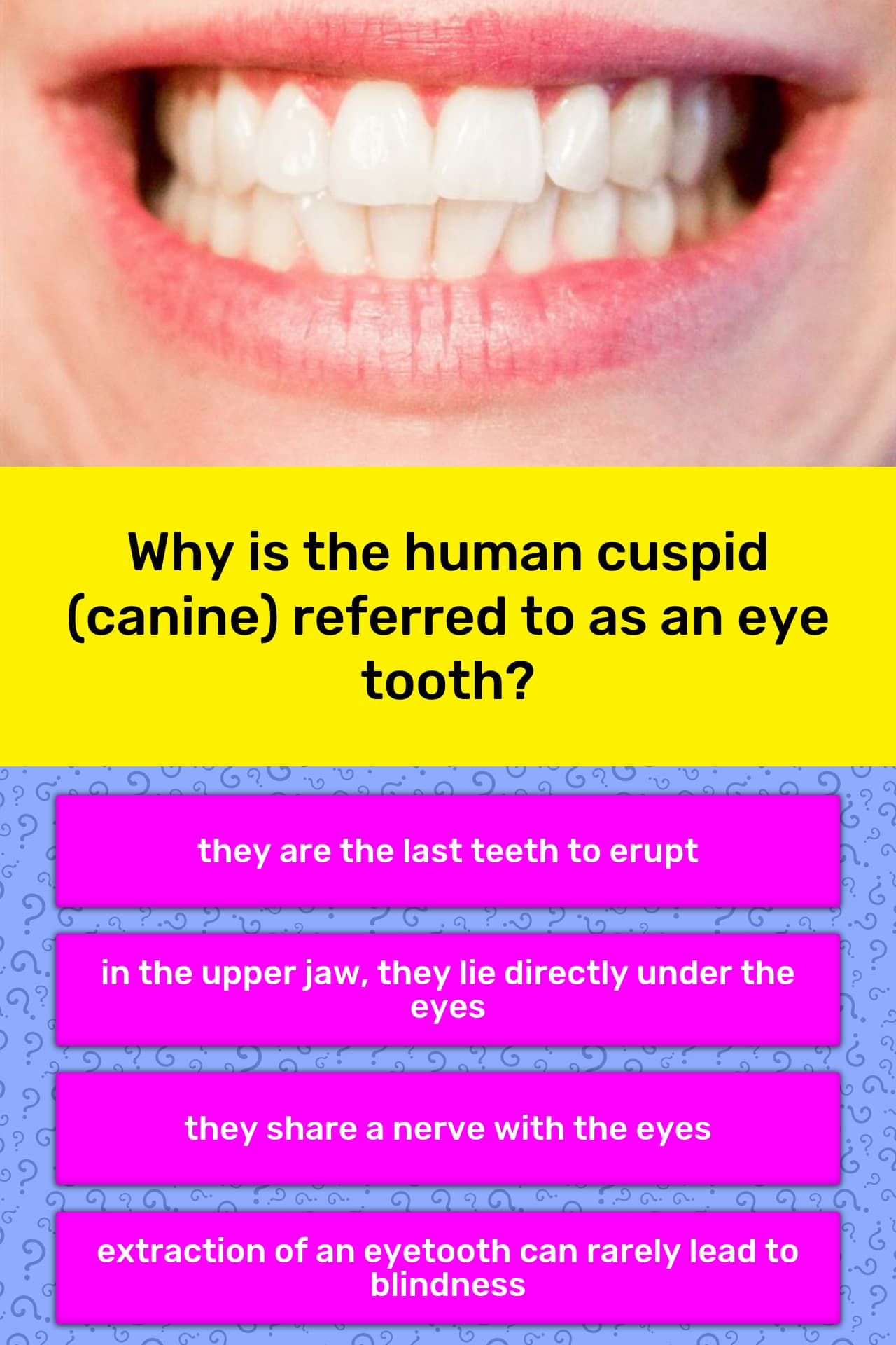 Why is the human cuspid (canine)... Trivia Answers