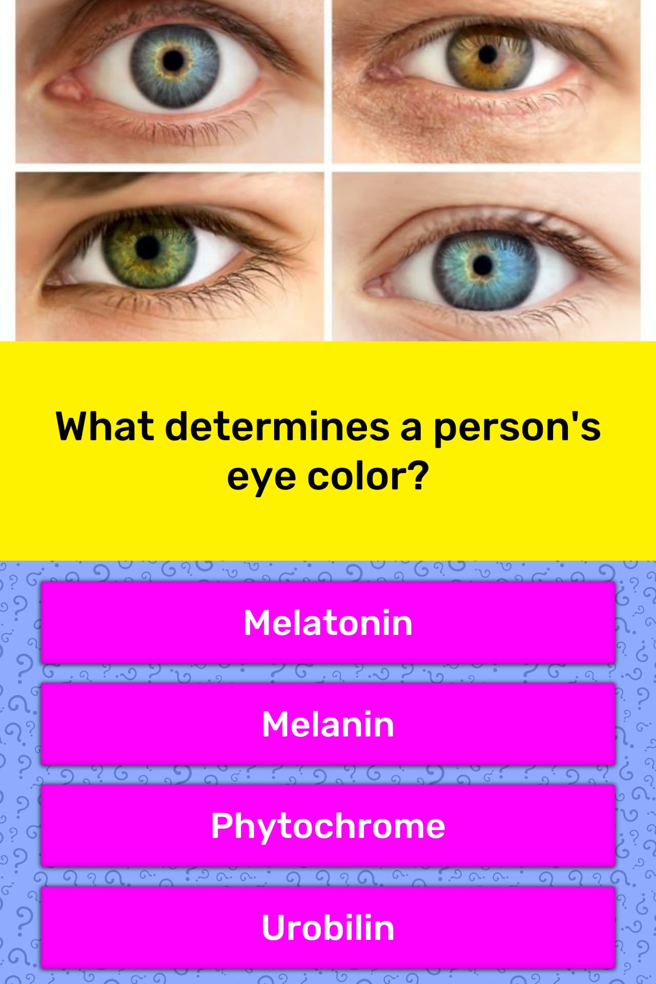 what-determines-a-person-s-eye-color-trivia-questions-quizzclub