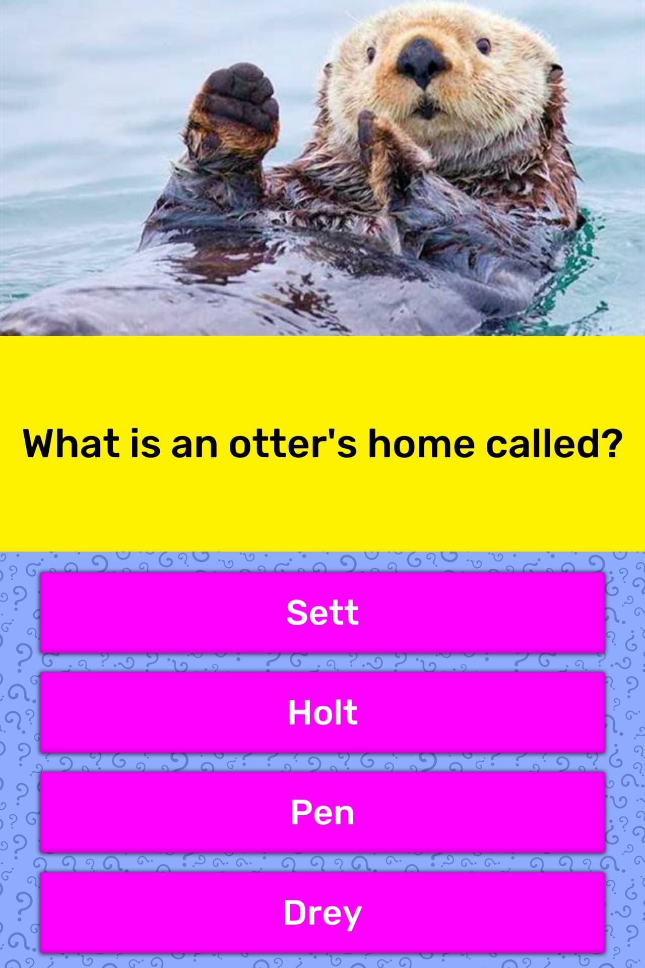 What Is An Otter s Home Called Trivia Answers QuizzClub