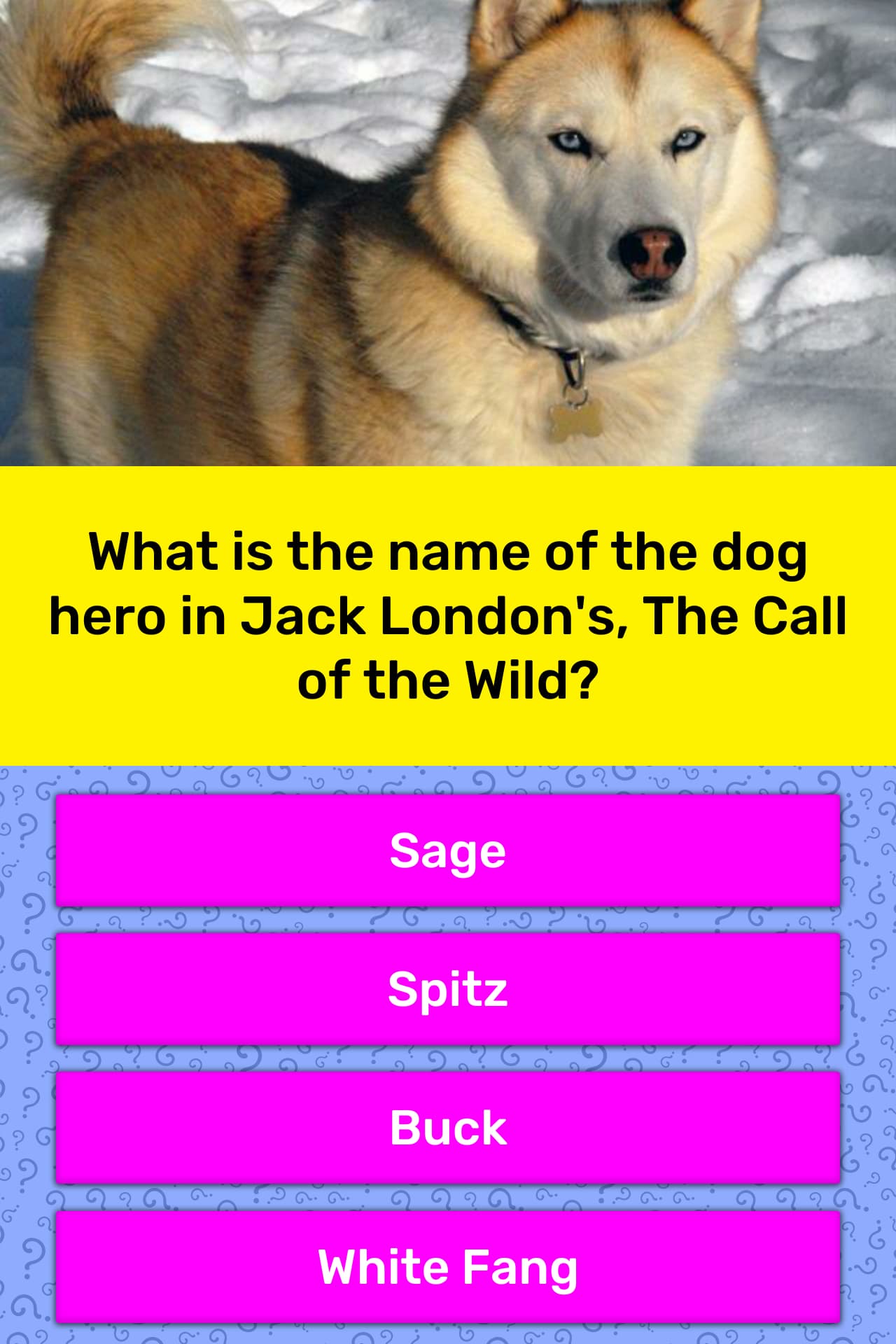 What Is The Name Of The Dog Hero In Trivia Answers Quizzclub