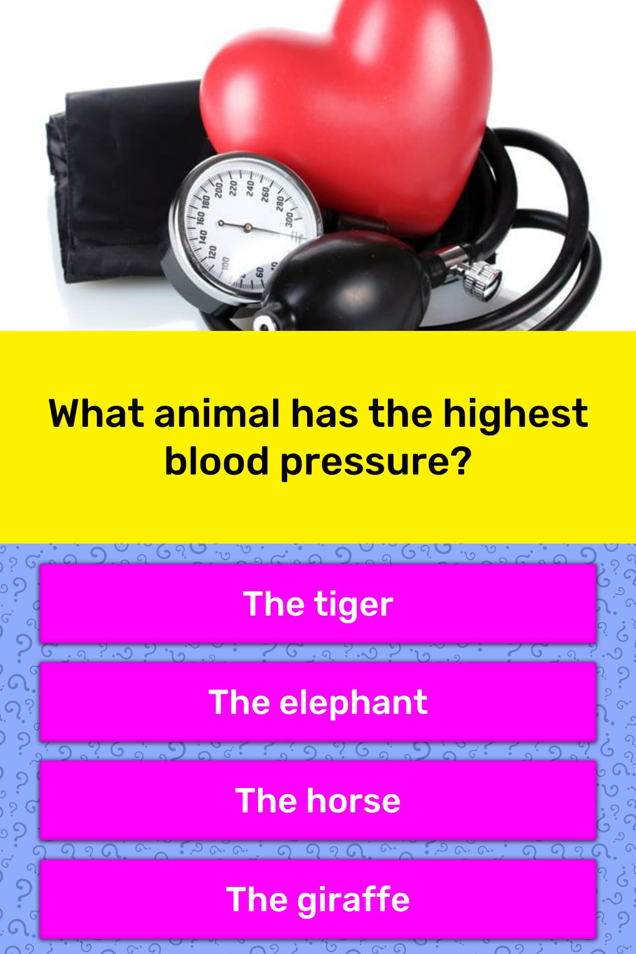 what-animal-has-the-highest-blood-trivia-answers-quizzclub