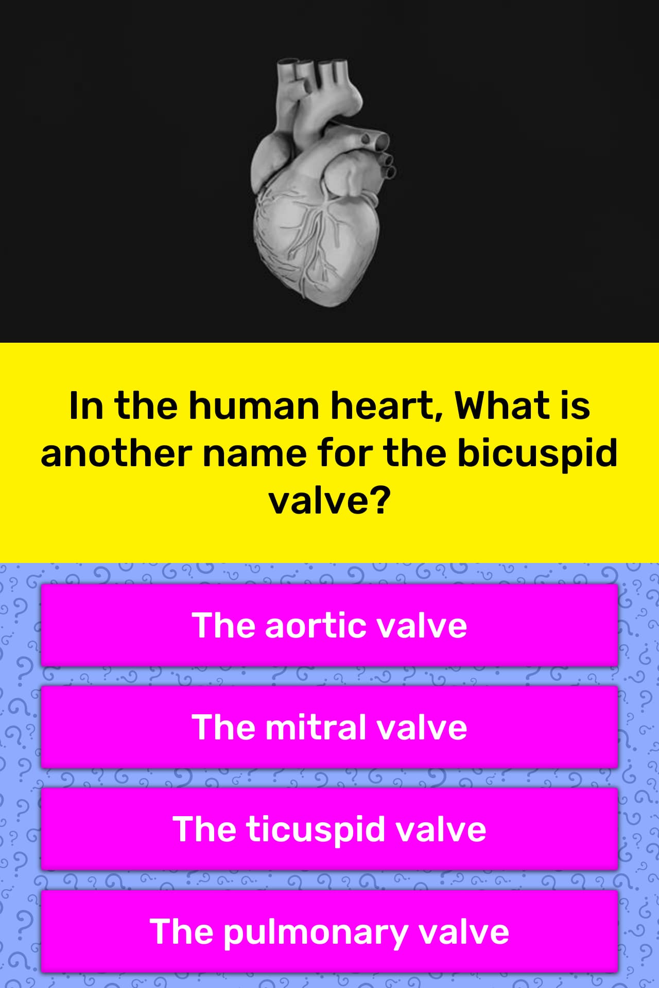 in-the-human-heart-what-is-another-trivia-questions-quizzclub