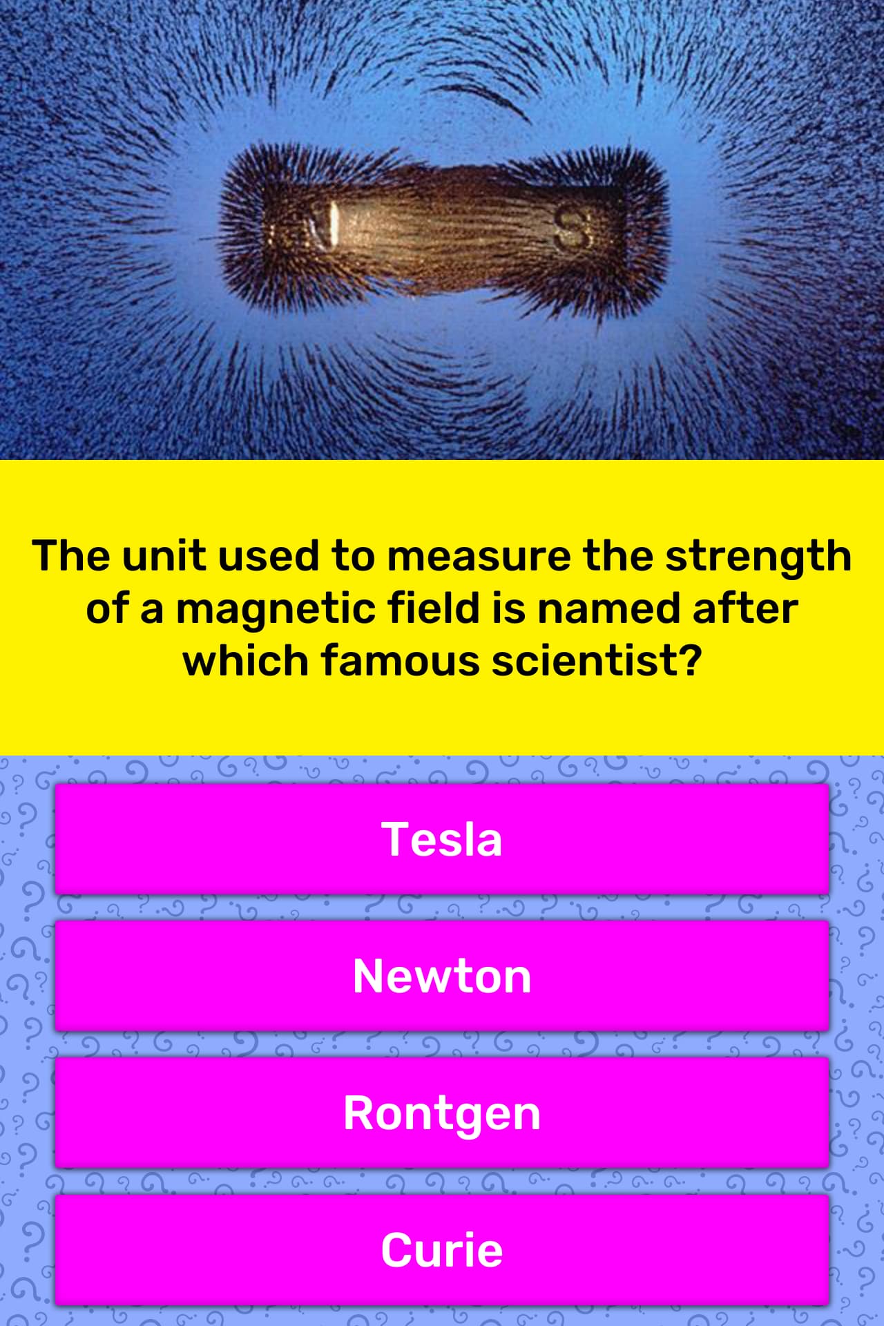 newton unit used to measure
