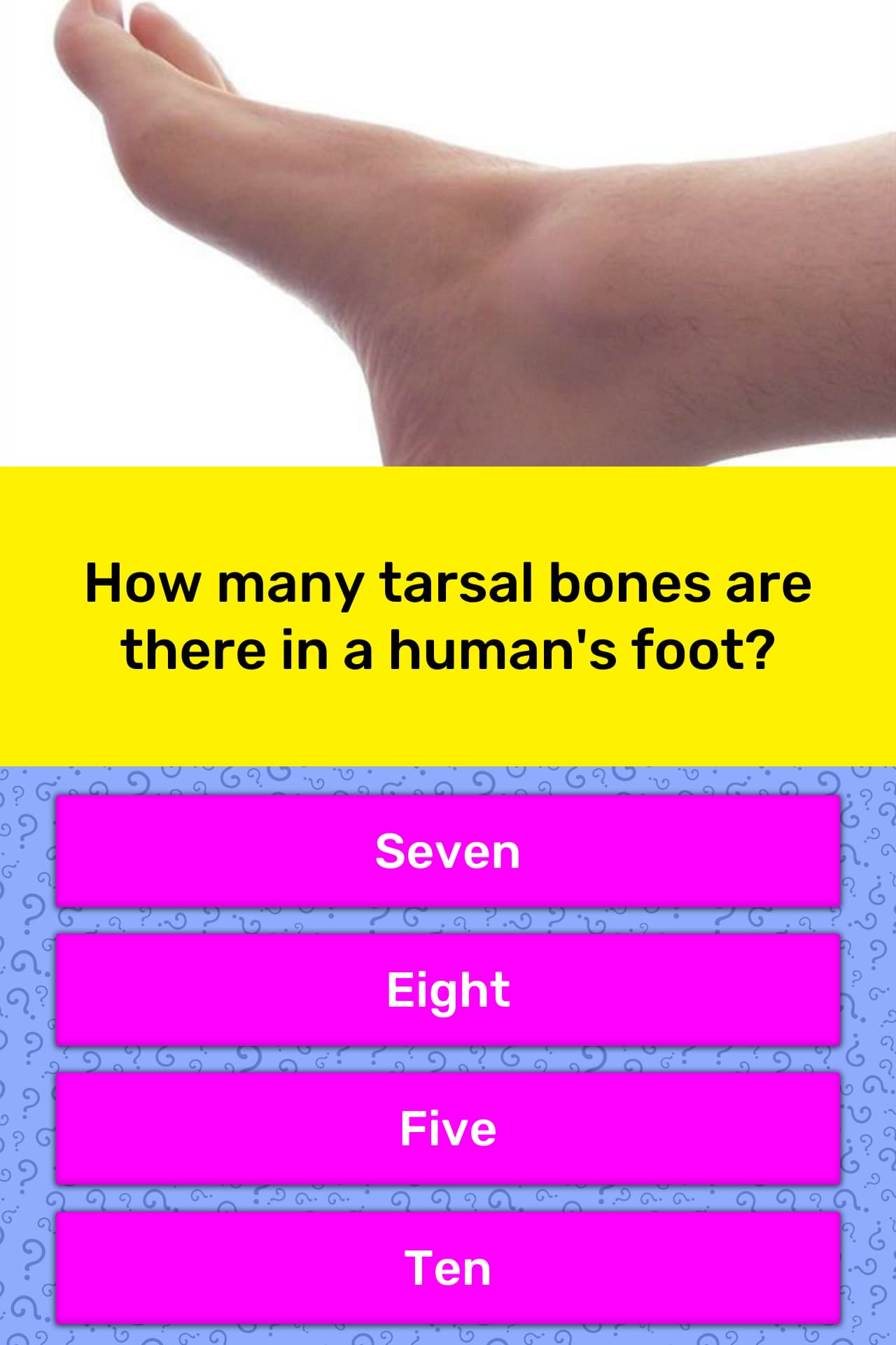 tarsal-bone-tcml-the-charsi-of-medical-literature