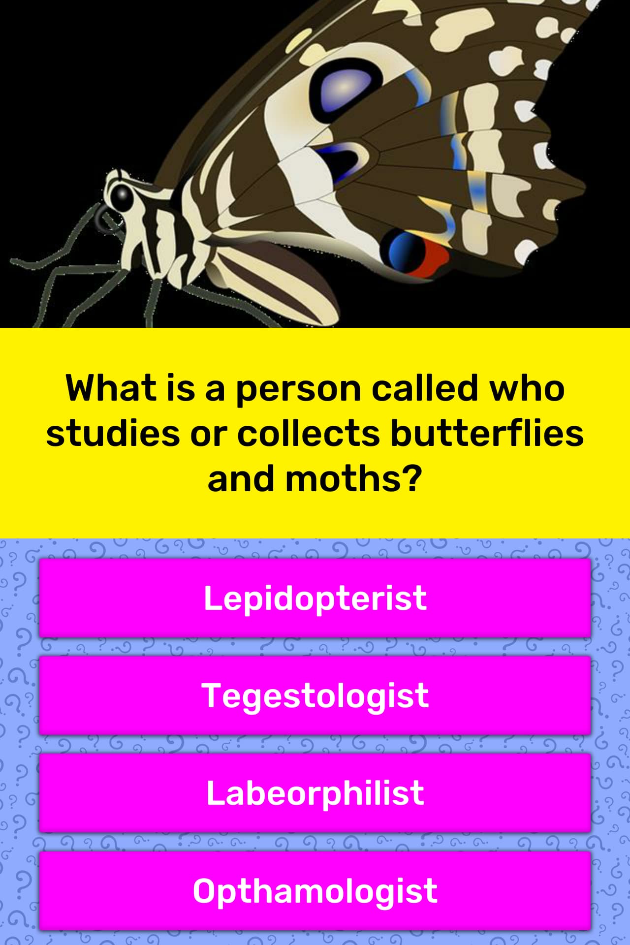 what-is-a-person-called-who-studies-trivia-answers-quizzclub