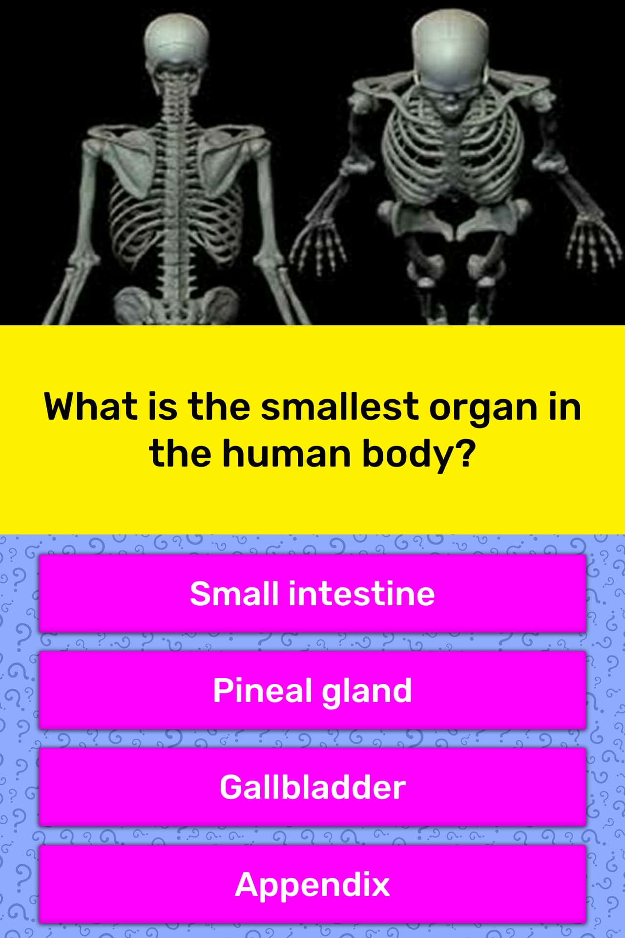 What is the smallest organ in the... | Trivia Questions ...