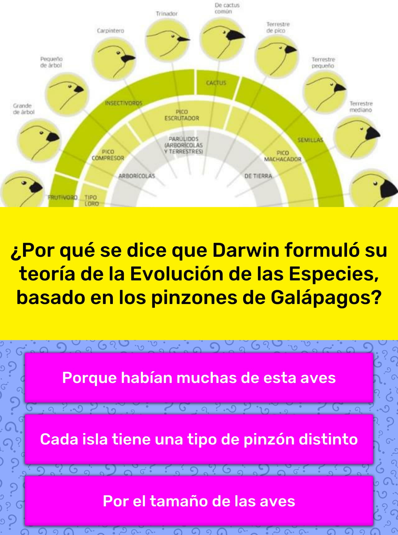 Como Se Dice 1800 En Inglés