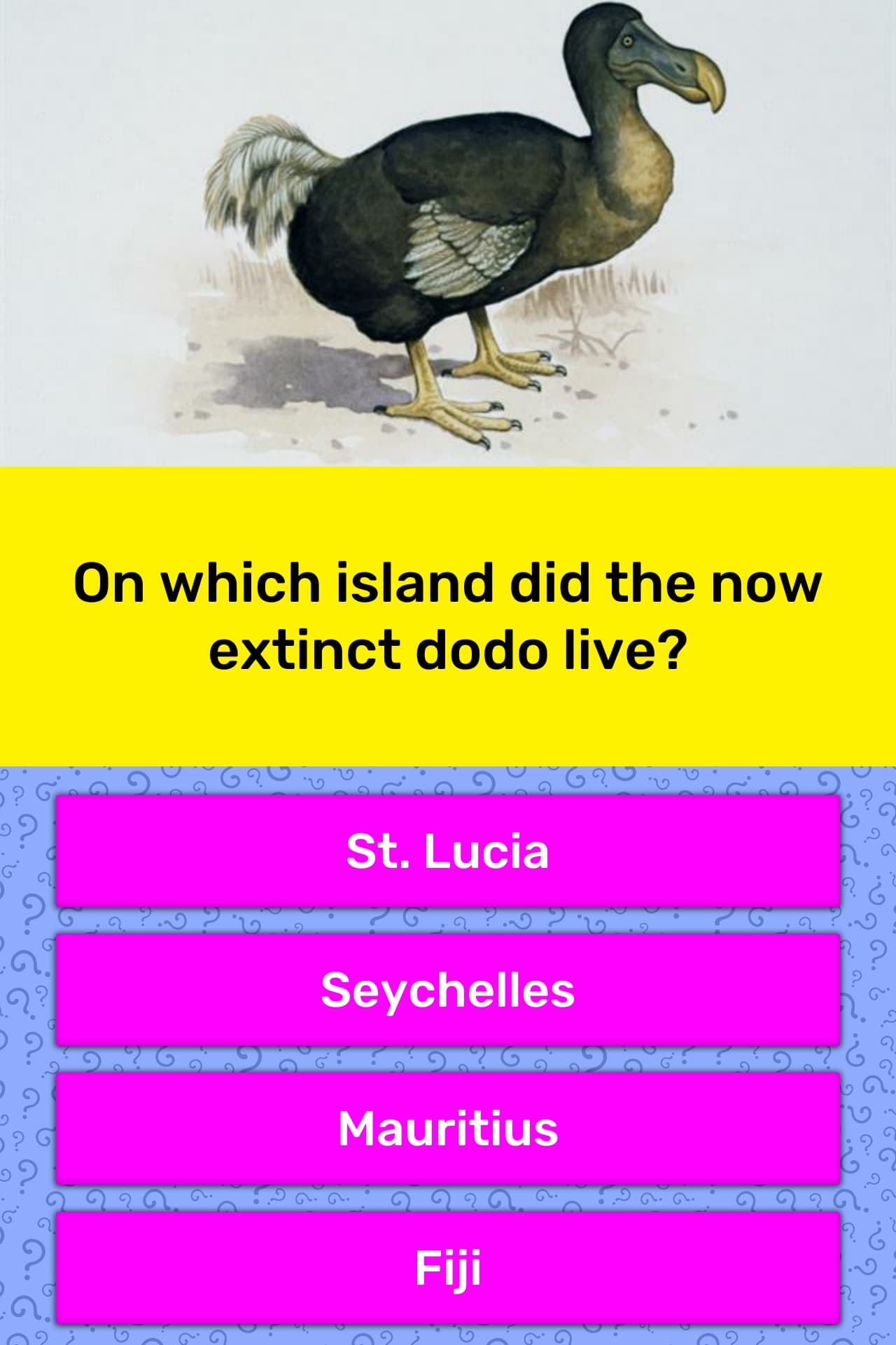 open island dodo codes