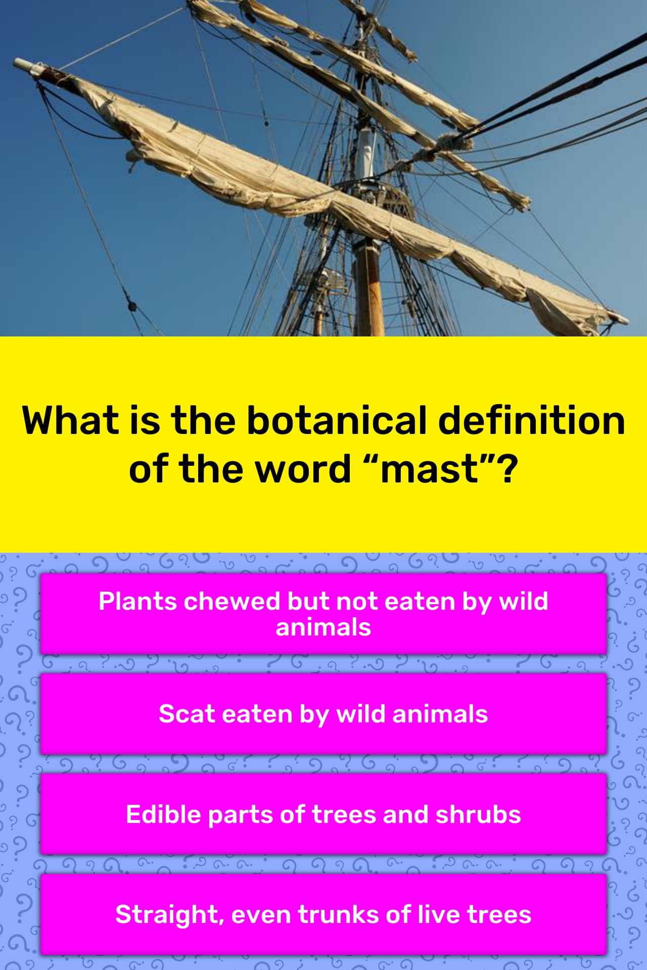 what-is-the-botanical-definition-of-trivia-answers-quizzclub