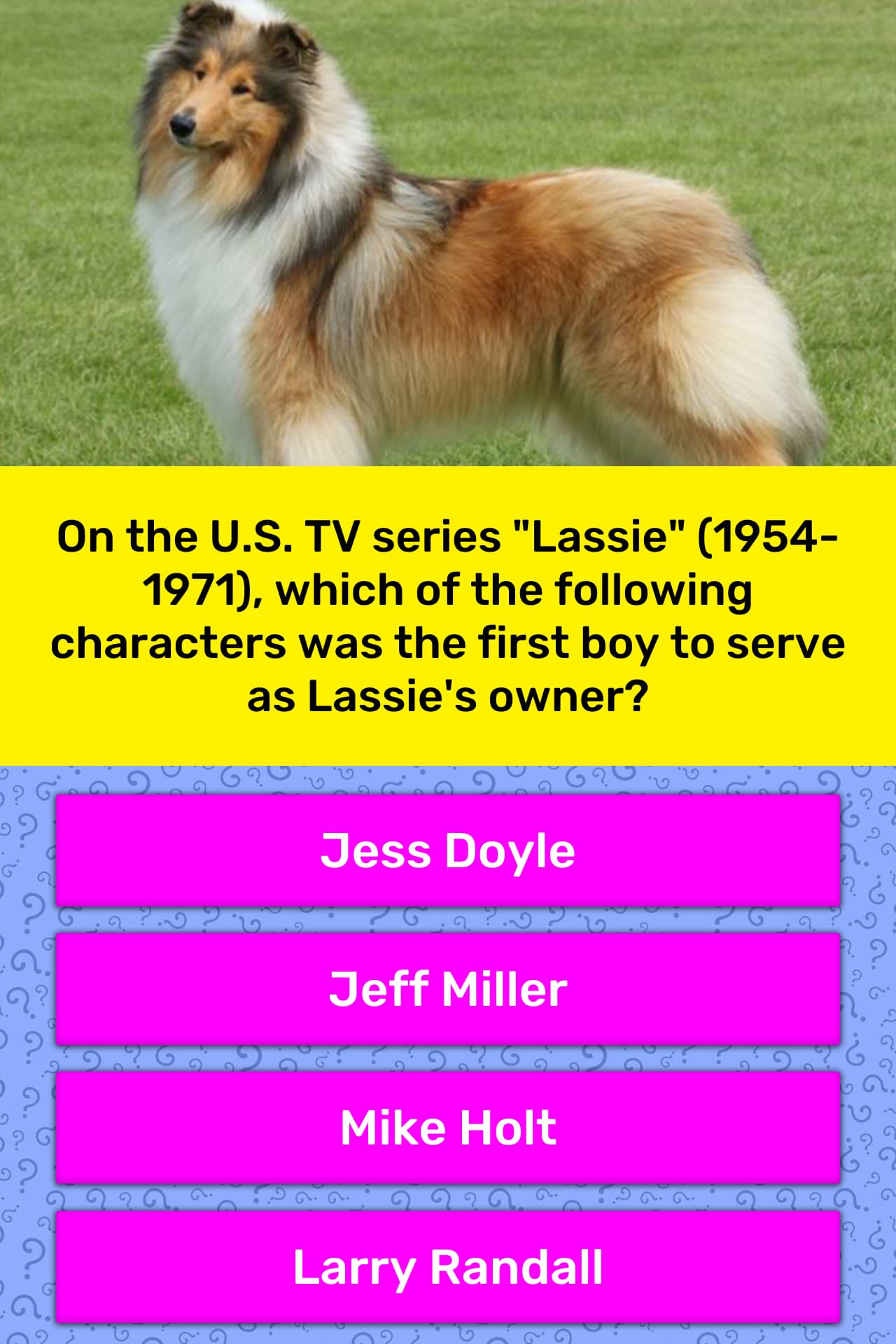 On The U S Tv Series Lassie Trivia Questions Quizzclub