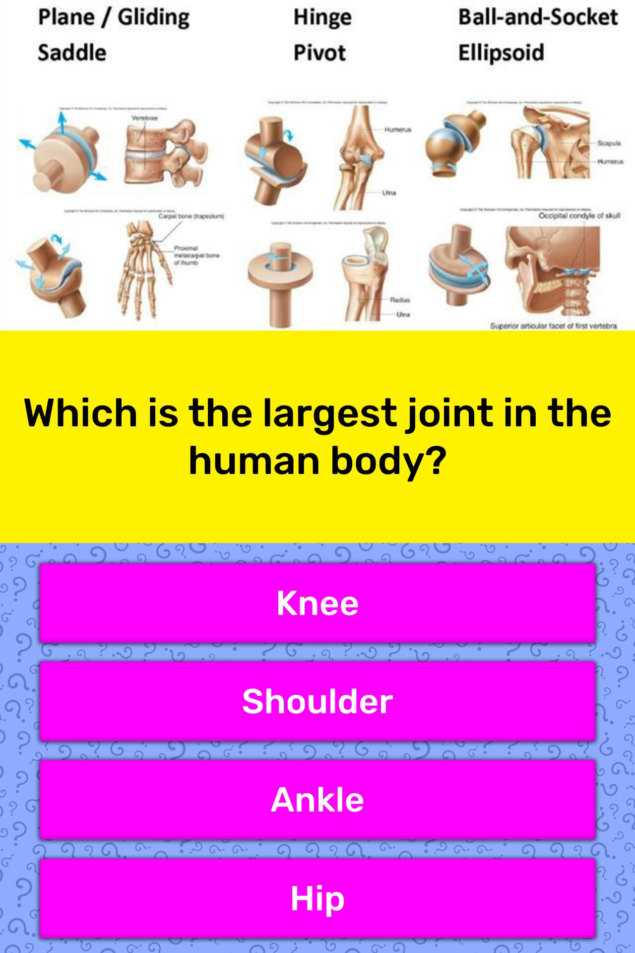 which-is-the-largest-joint-in-the-trivia-answers-quizzclub