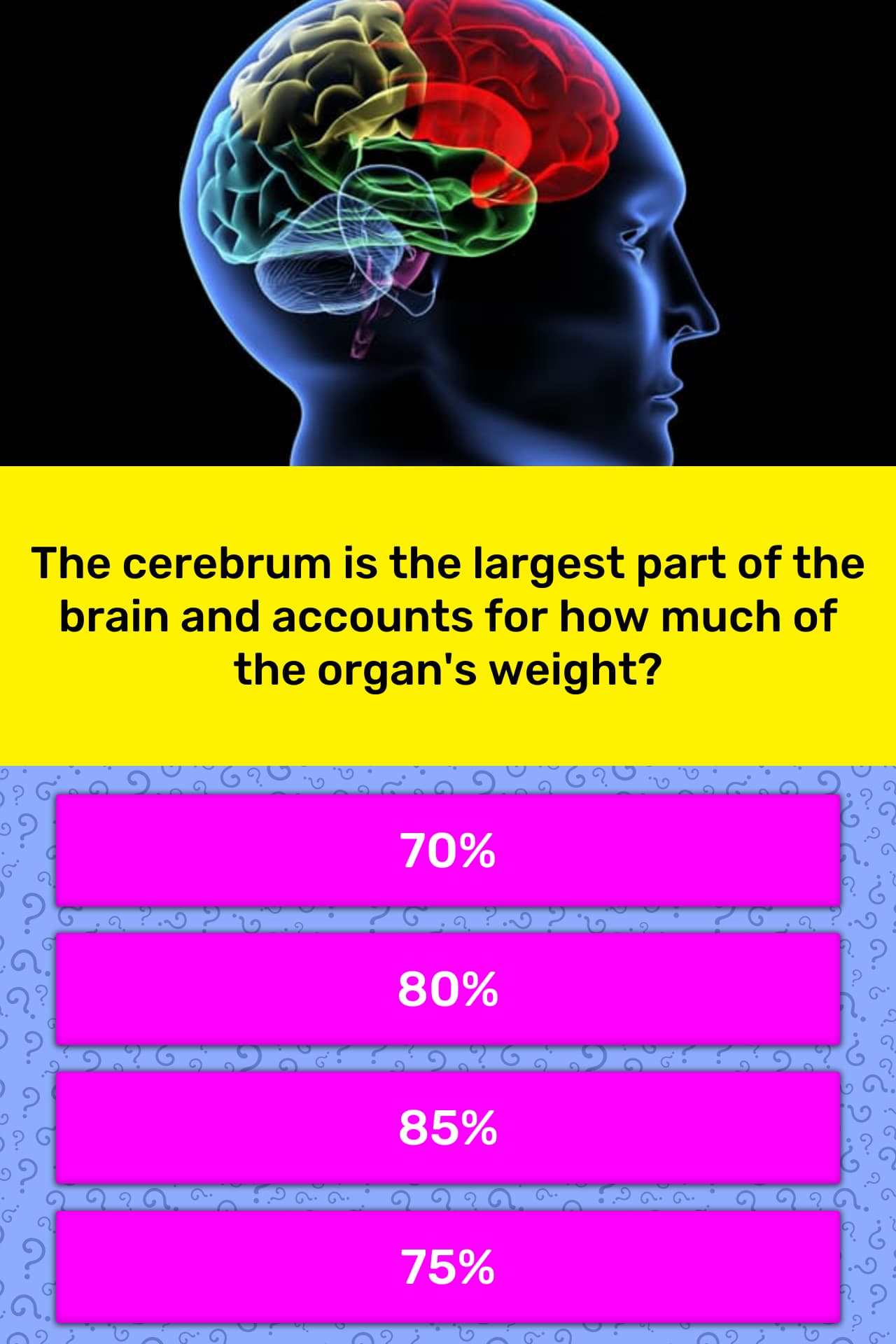 the-cerebrum-is-the-largest-part-of-trivia-answers-quizzclub