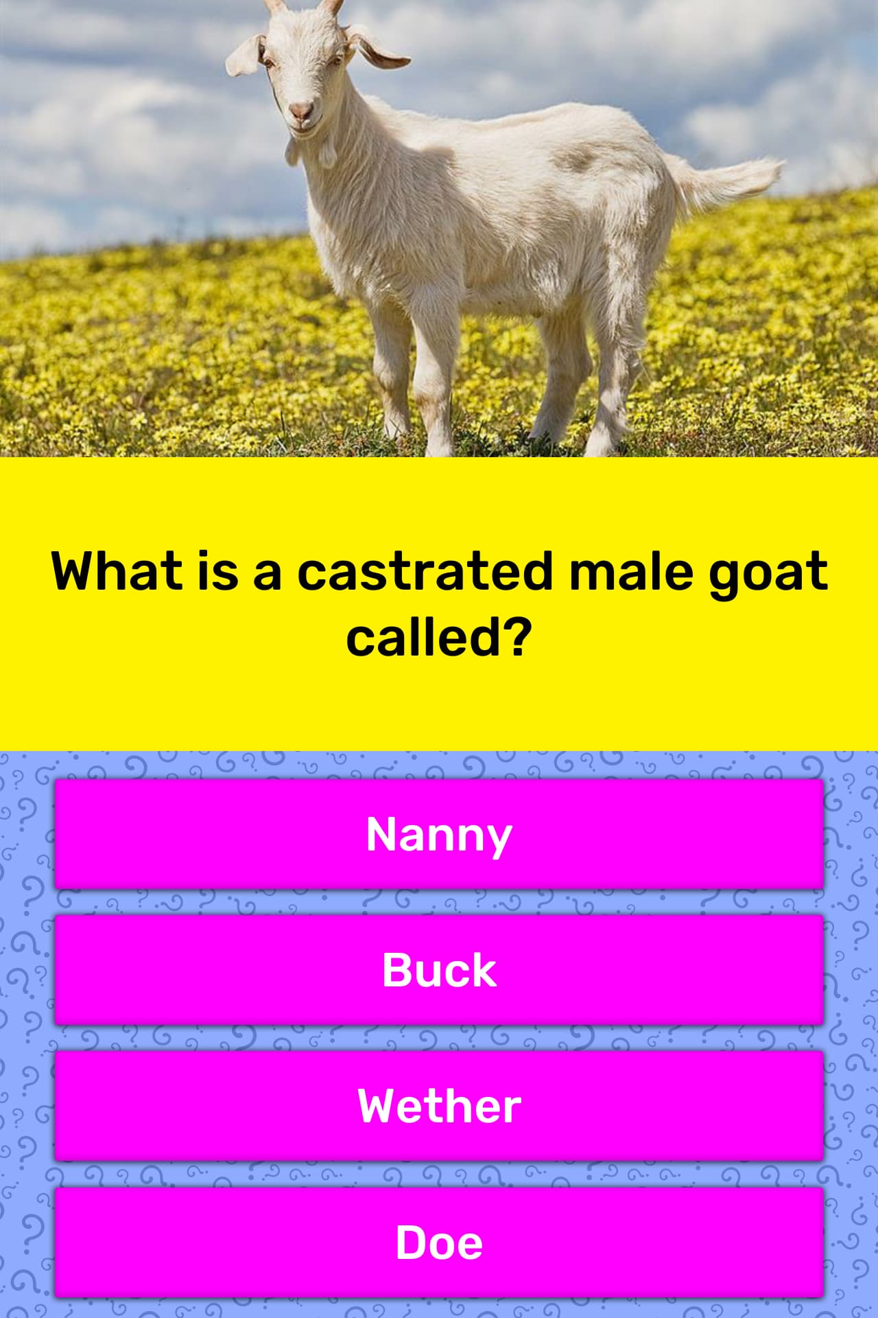 what-is-a-castrated-male-goat-called-trivia-answers-quizzclub