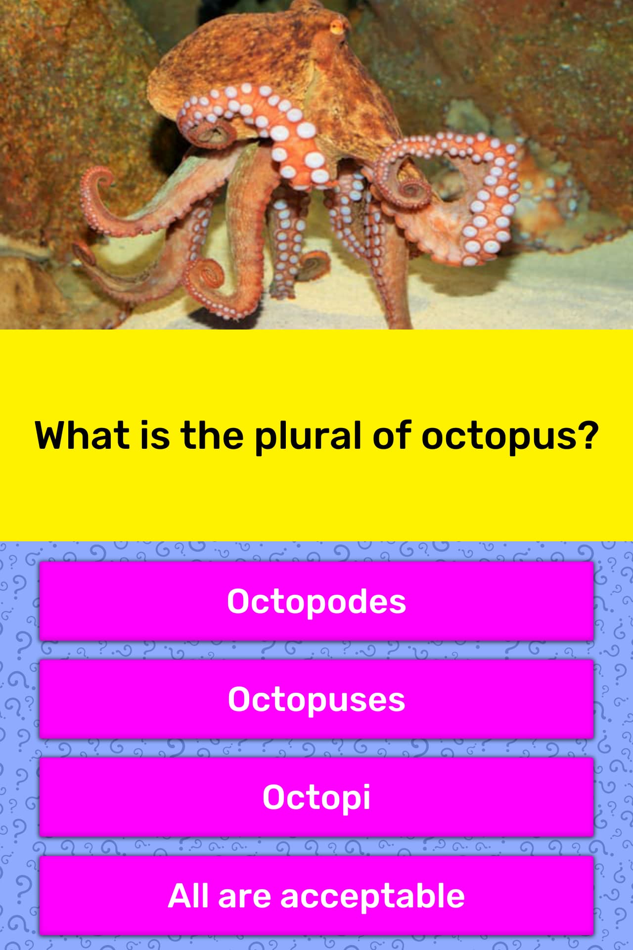 What Is The Plural Of Octopus Trivia Answers QuizzClub