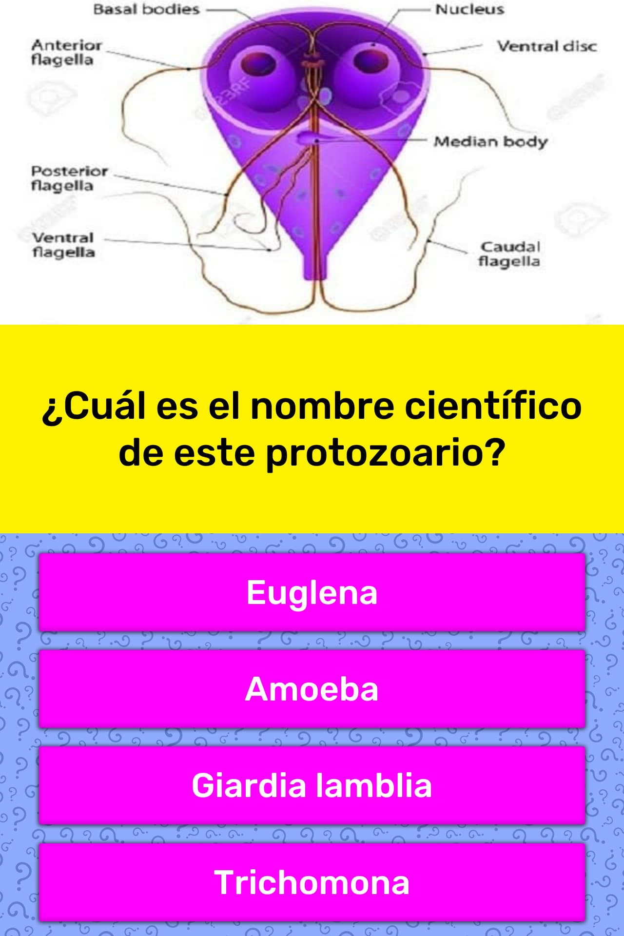 cu-l-es-el-nombre-cient-fico-de-la-respuesta-de-trivia