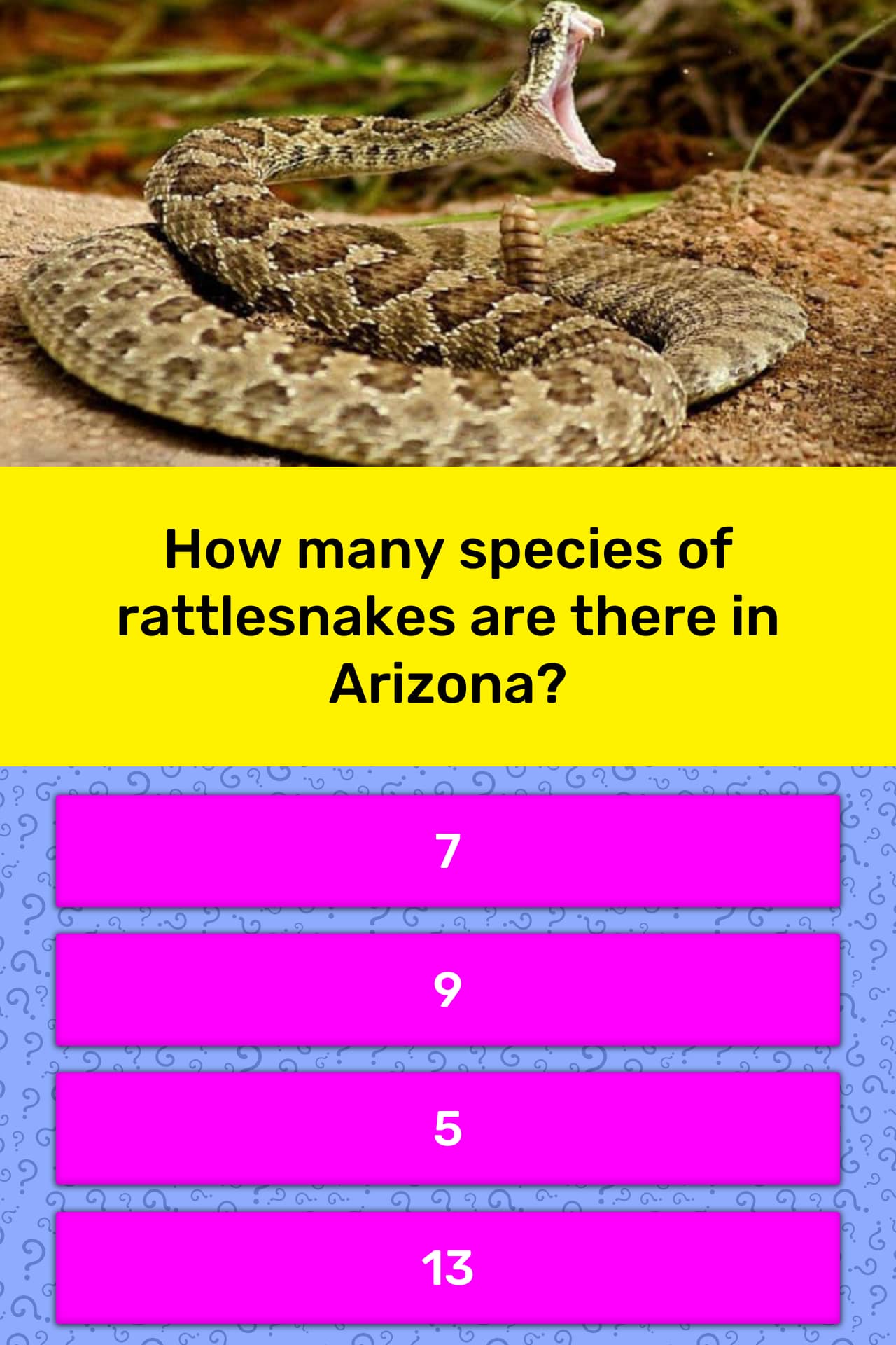 how-many-species-of-rattlesnakes-are-trivia-questions-quizzclub