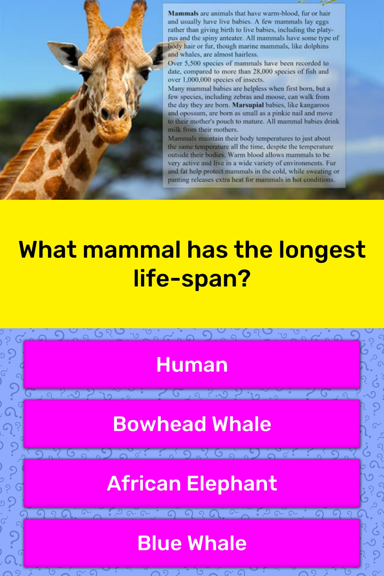 what-mammal-has-the-longest-life-span-trivia-questions-quizzclub