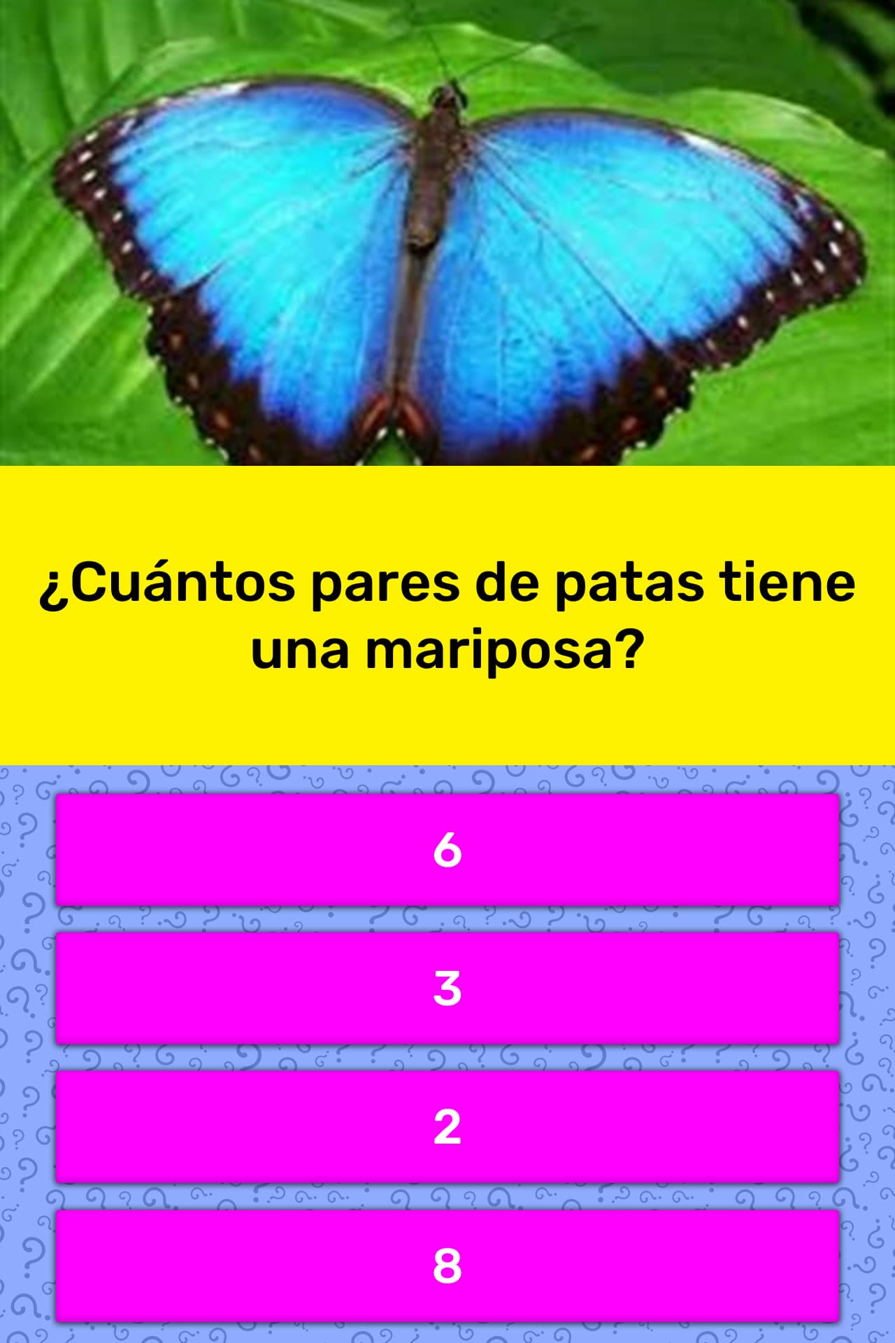 ¿Cuántos pares de patas tiene una... | La respuesta de Trivia