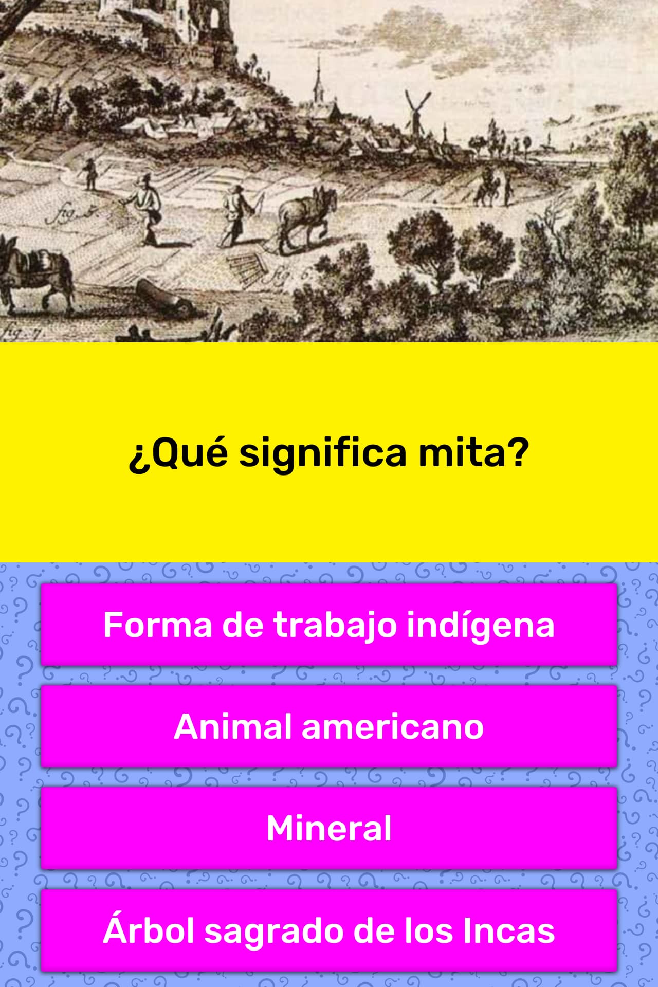  Qu Significa Mita La Respuesta De Trivia QuizzClub