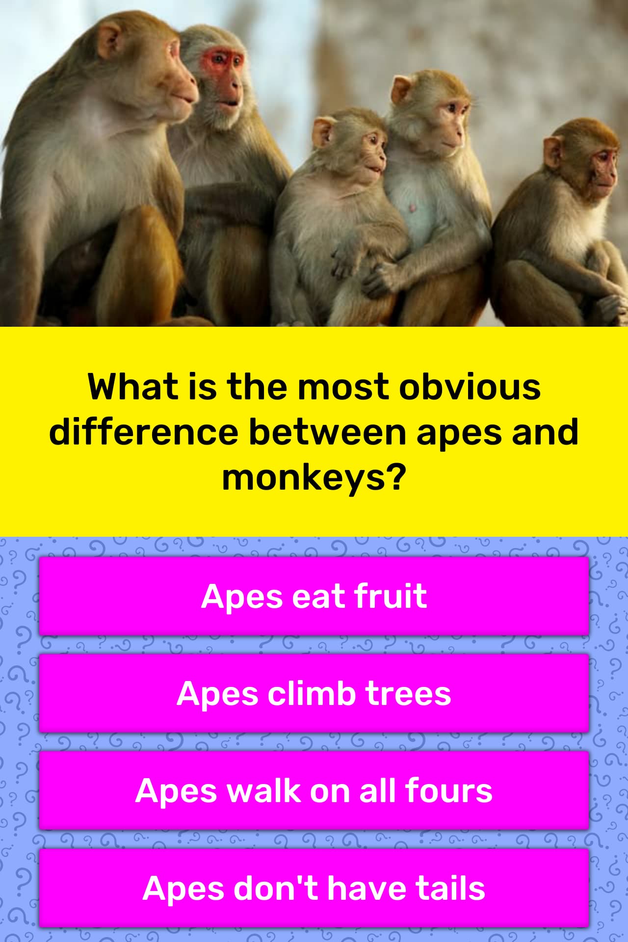 What is the most obvious difference... | Trivia Answers | QuizzClub