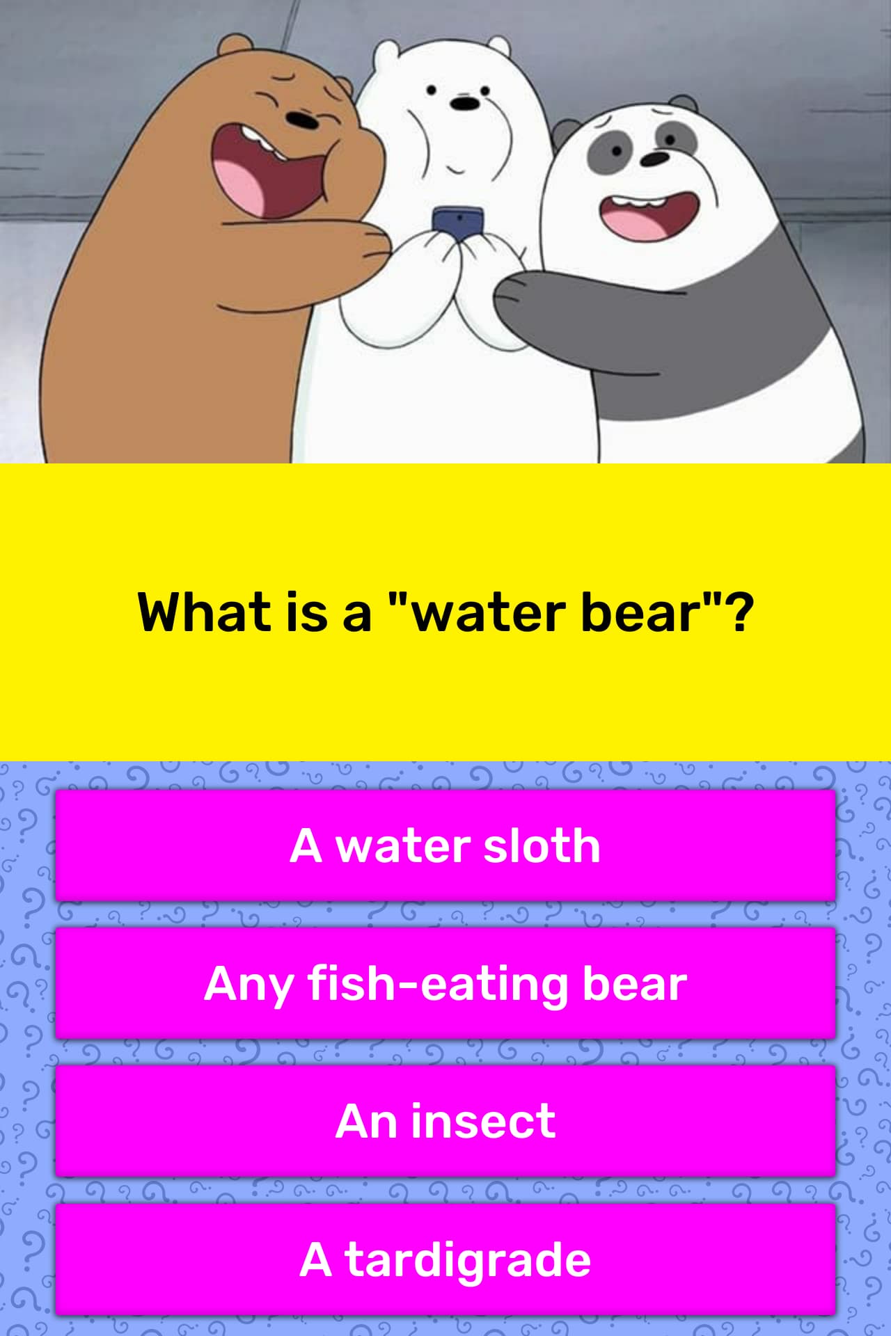 What is a "water bear"? Trivia Questions